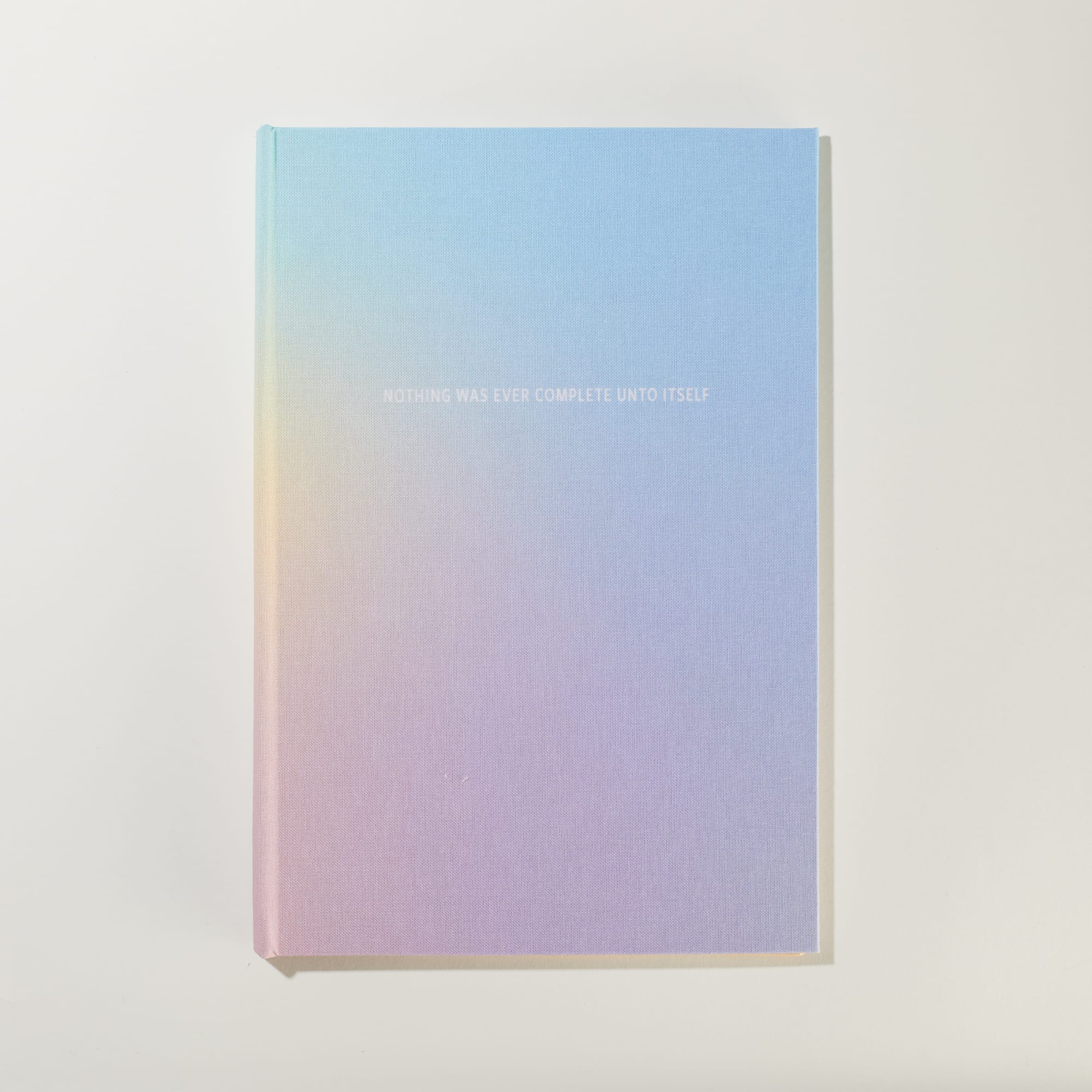 Erin Mickelson, Nothing Was Ever Complete Unto Itself, 2021