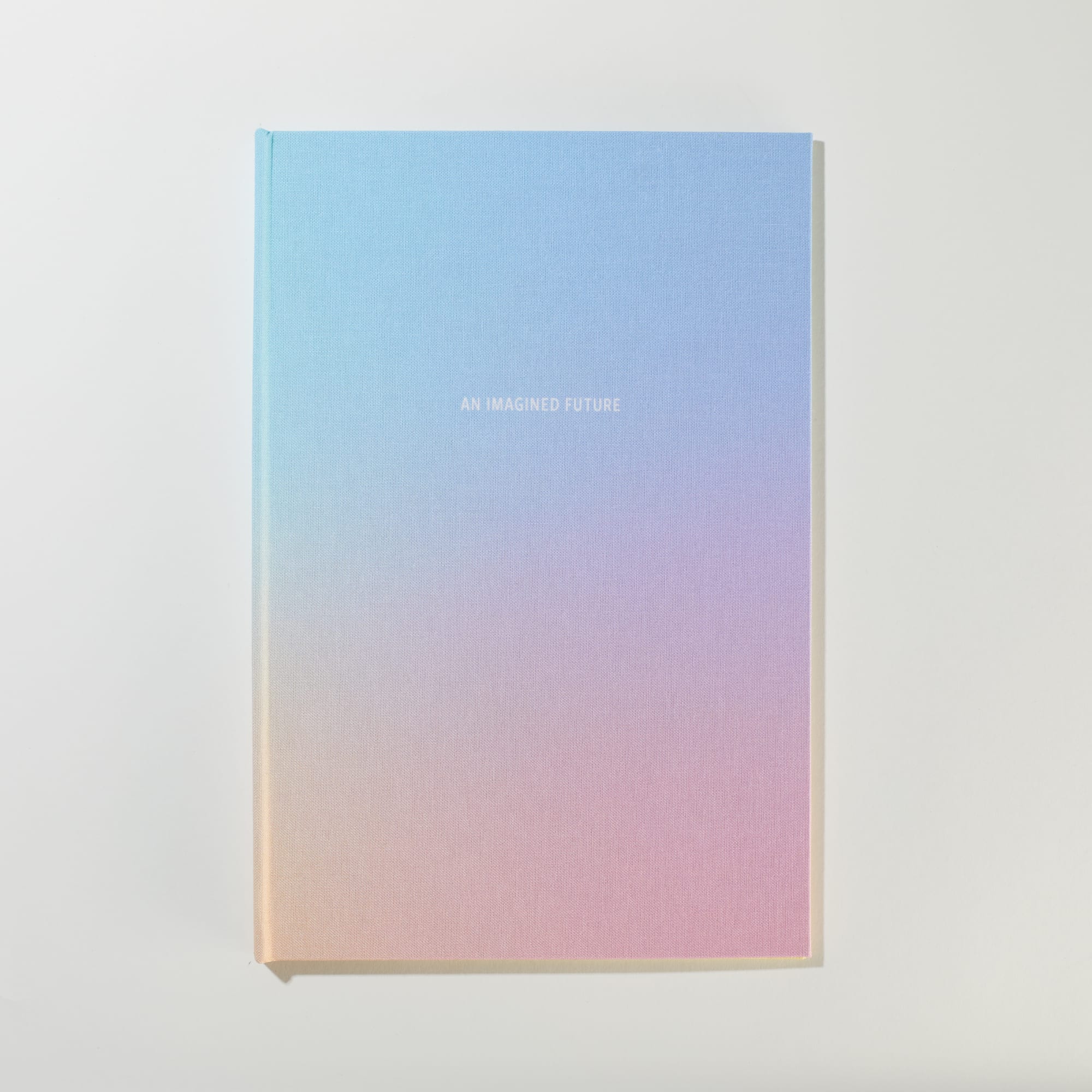 Erin Mickelson, An Imagined Future, 2021