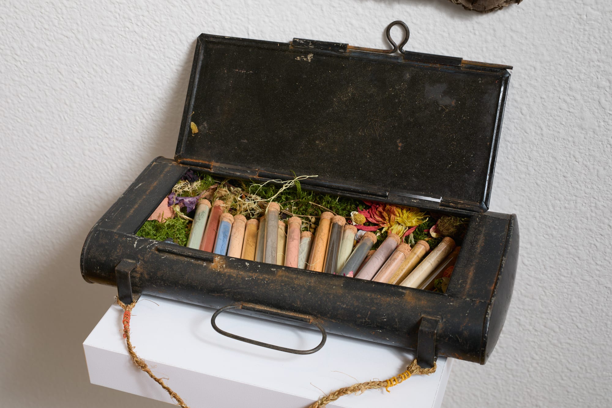 Heidi Gustafson, Pigments gathered where I live, 2022