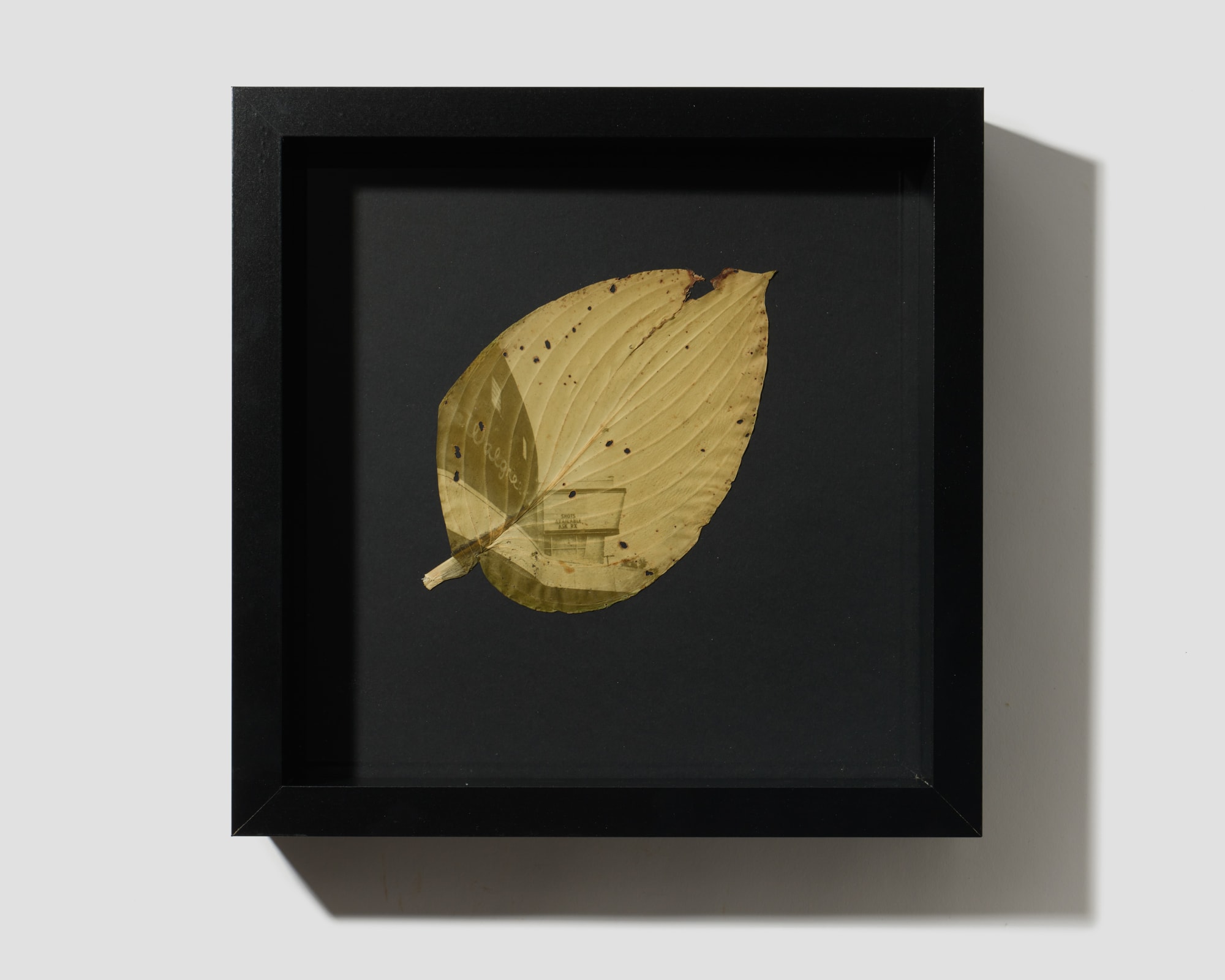 Megan Bent, Quarantine Day 496, 2021