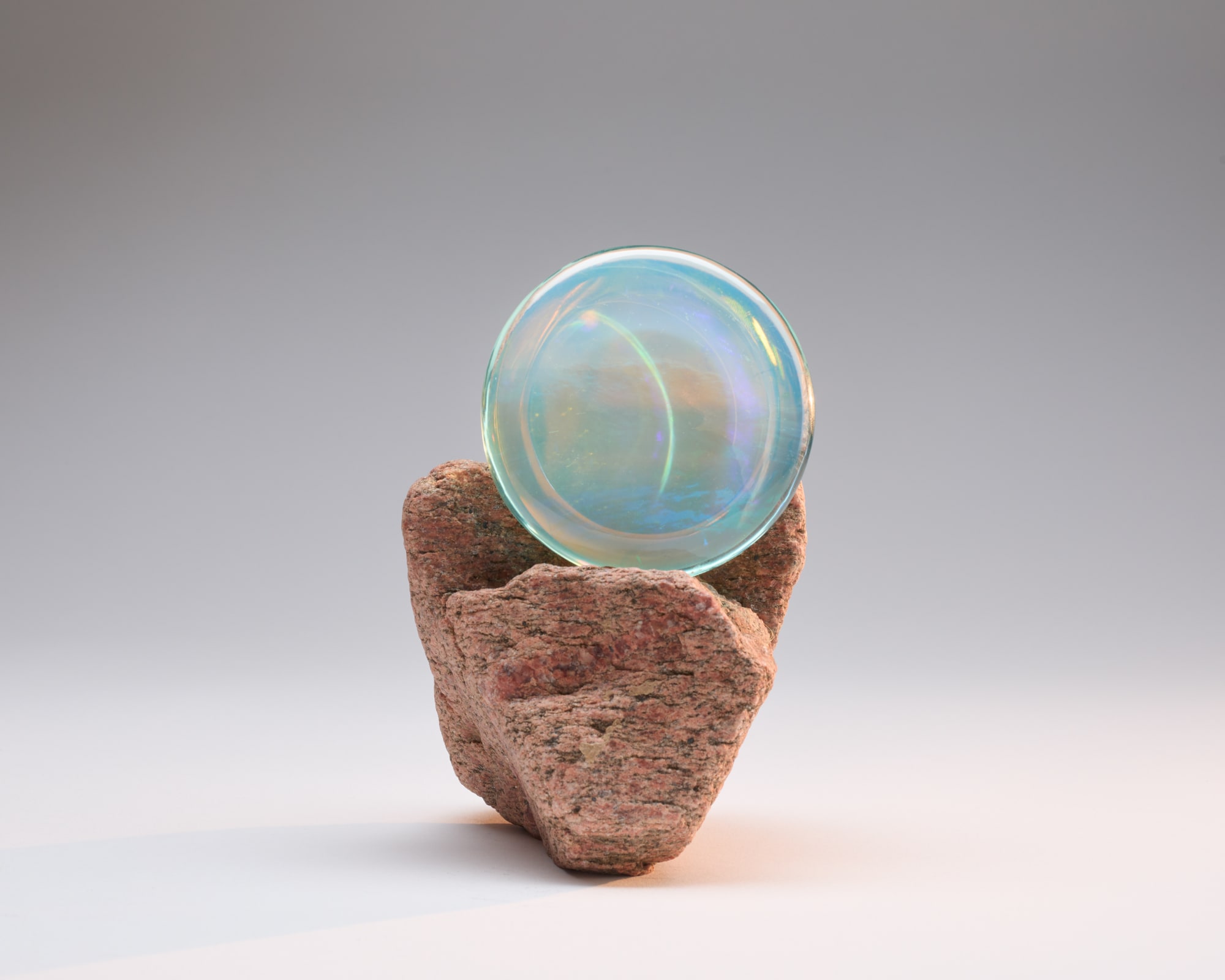 C Alex Clark, Possible Worlds Where: "Happiness flickers like sunshine through leaves", 2021