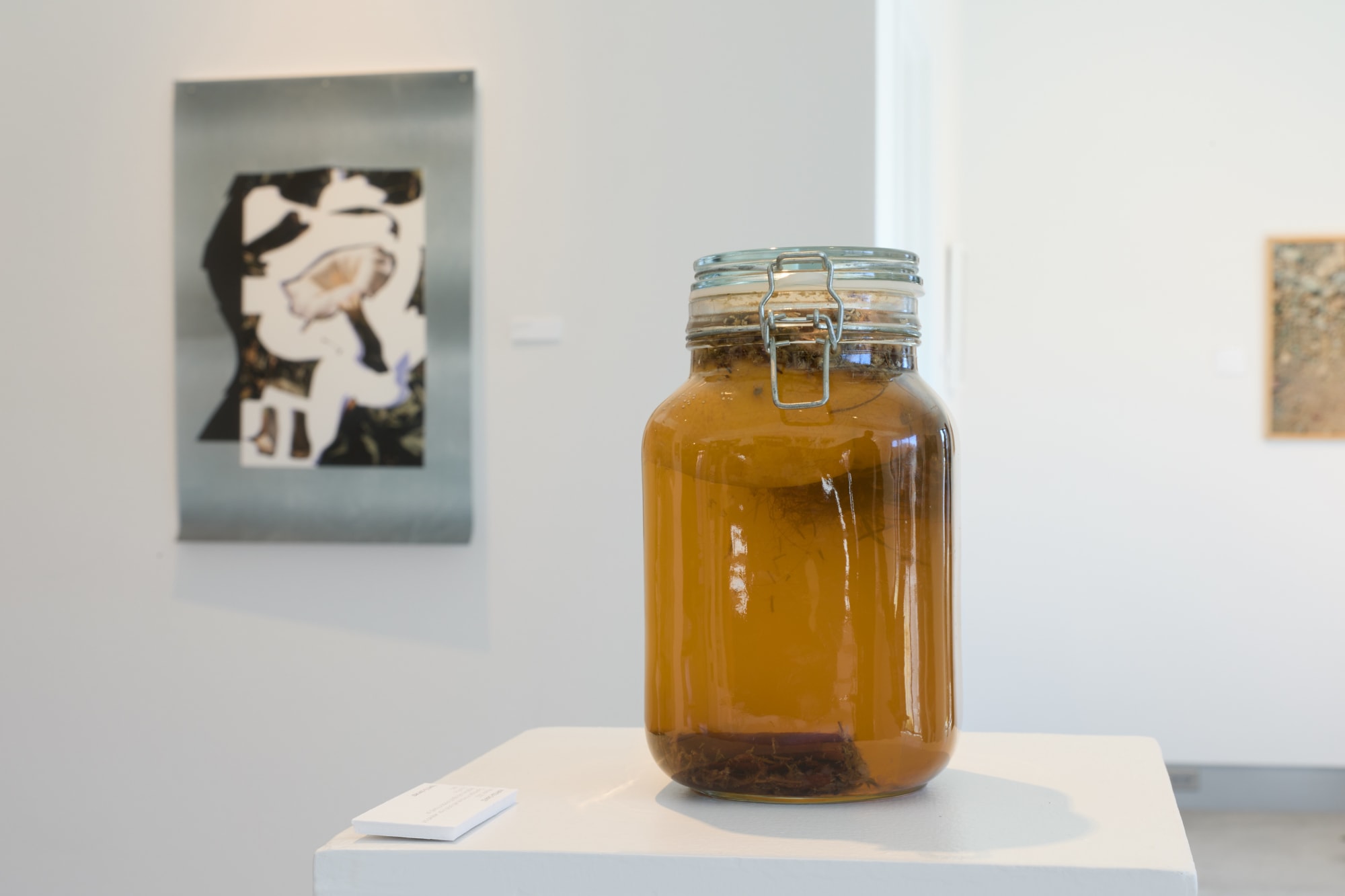 Maryssa Chavez, Mayme, 2022