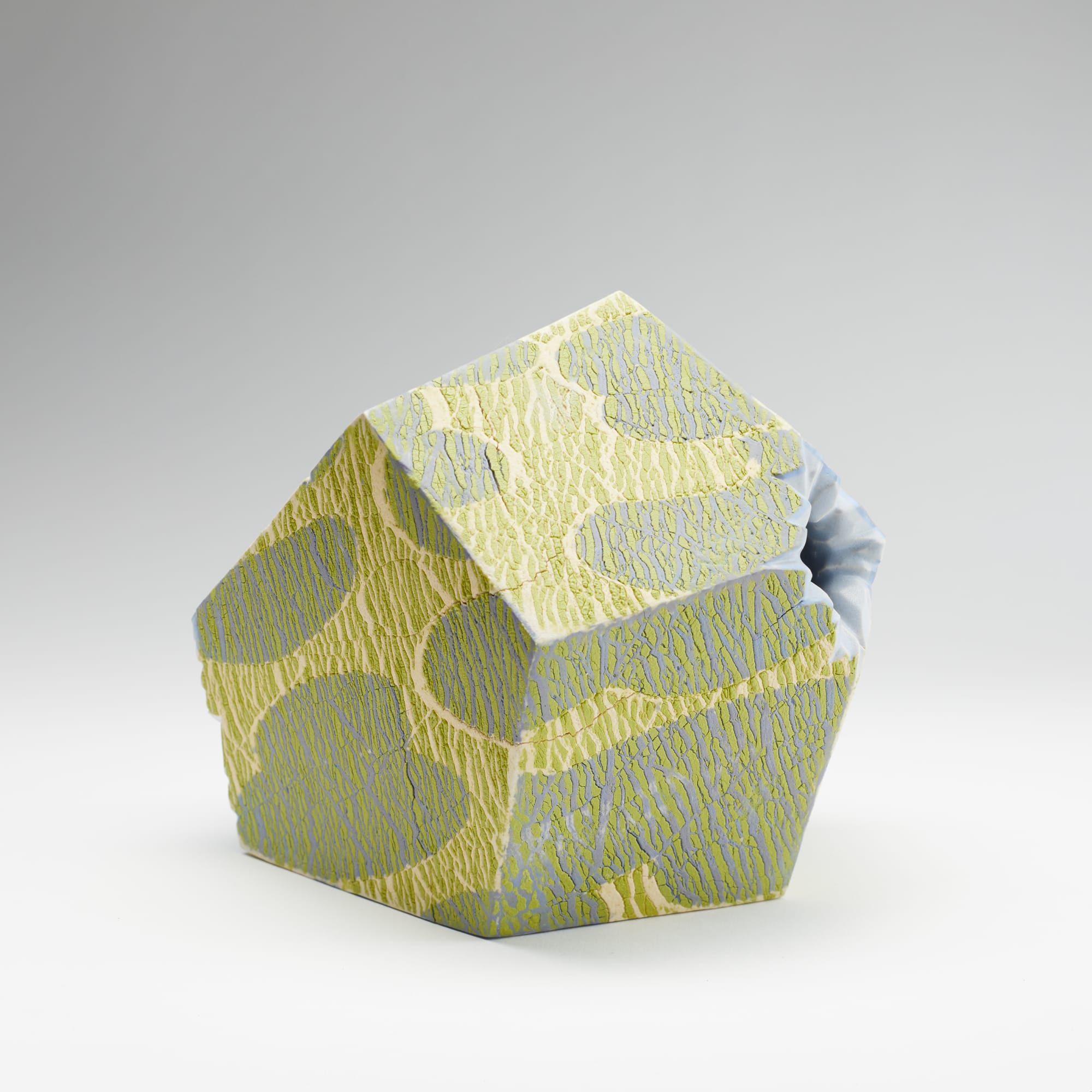 Pascal Emmer, Lichen It to a Slow (R)evolution, 2020