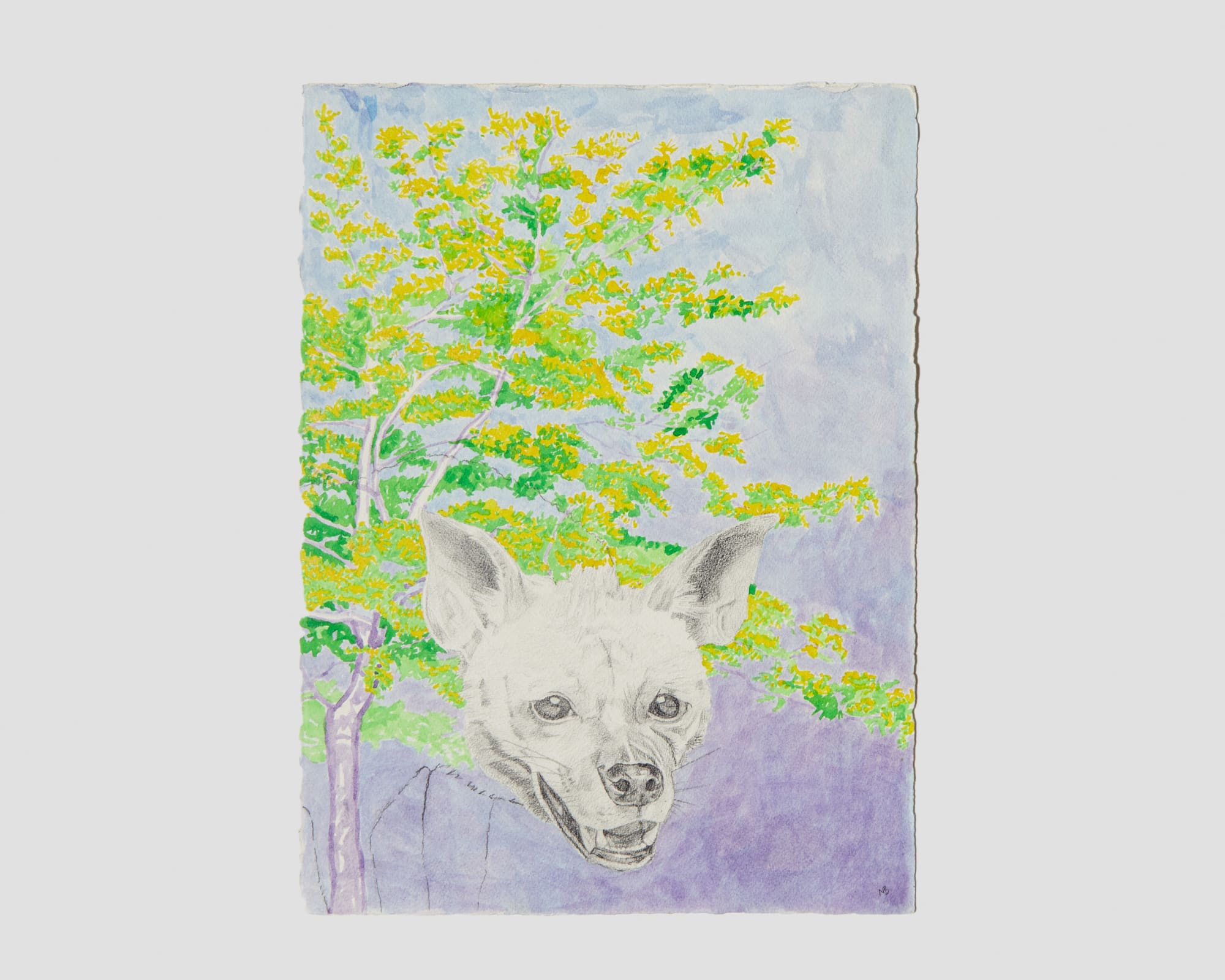 Nathan Budoff, Wise Eyes, 2017