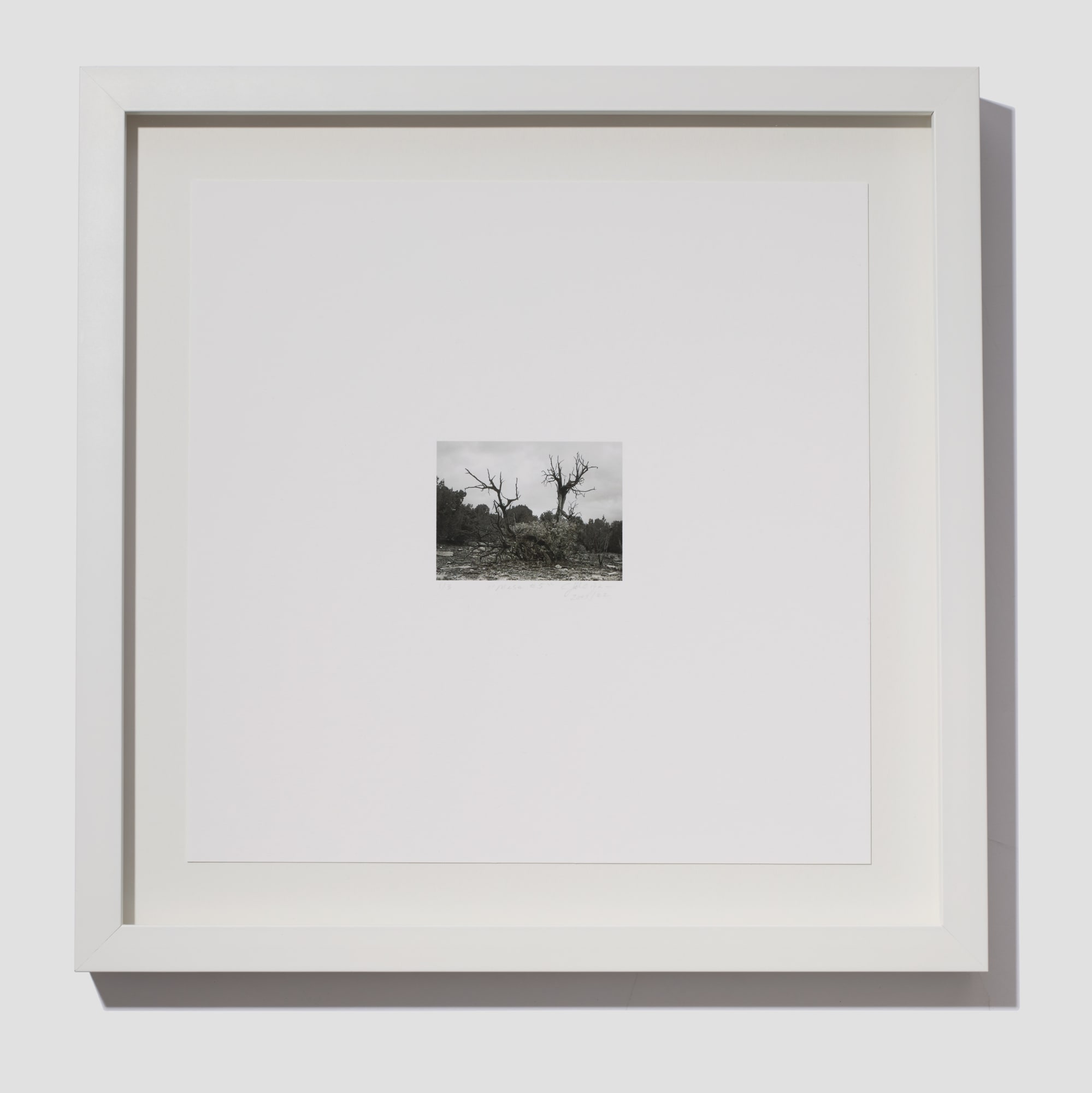 Jill O'Bryan, Mesa #5, 2021