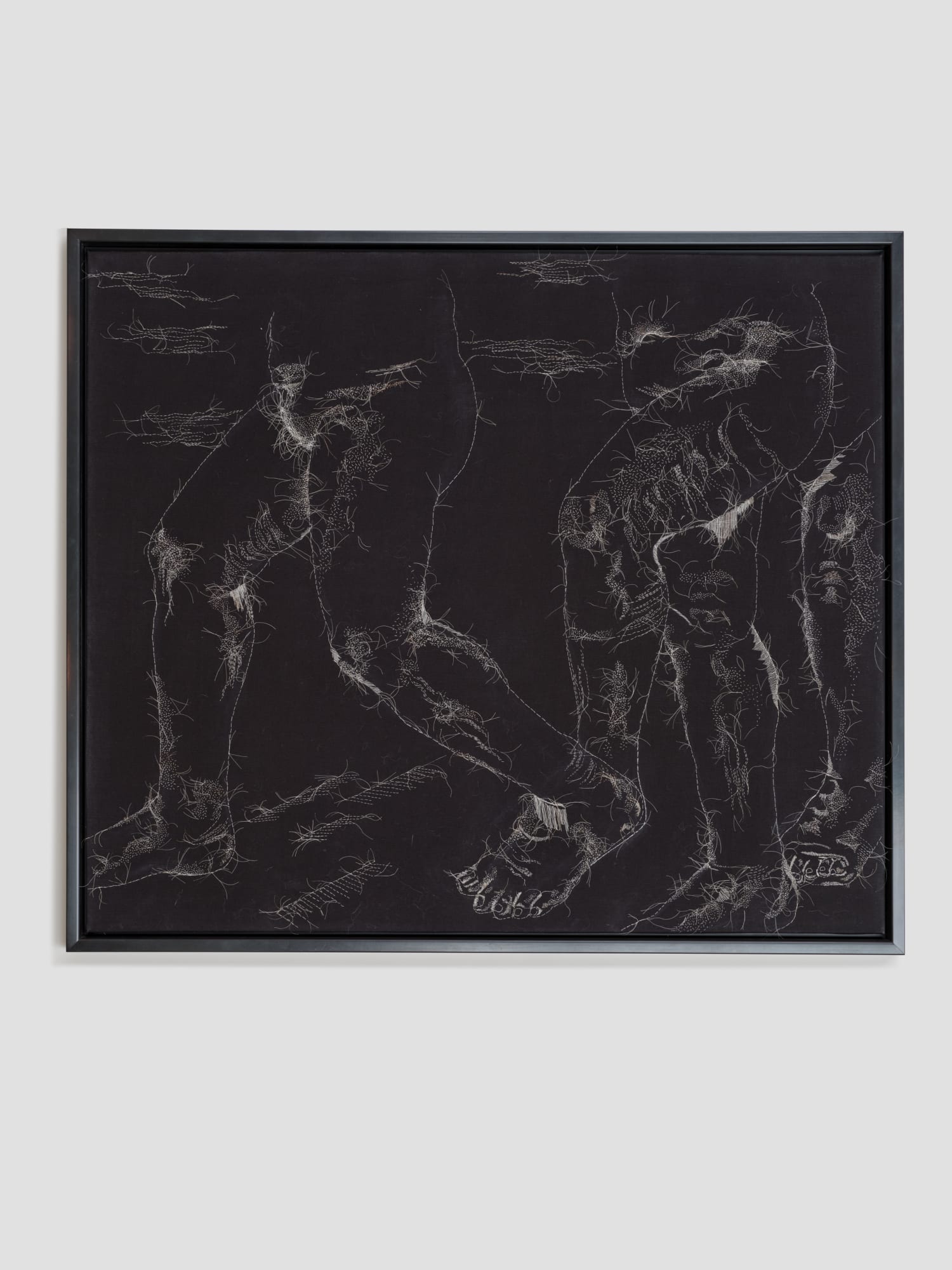 Rosemary Meza-DesPlas, Marching Across Your Lawn, The Grass is On Fire, 2020