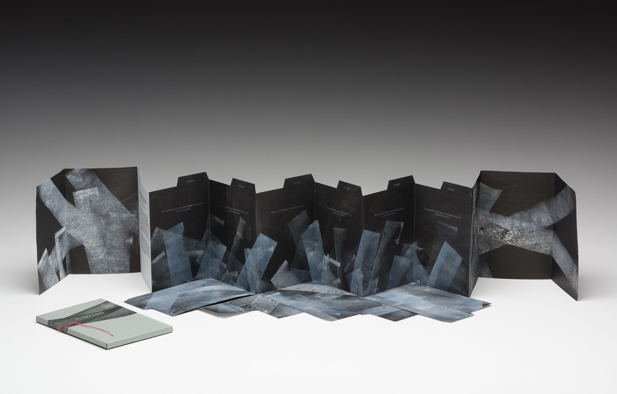 23 Sandy, The Record by Anne Covell, 2017