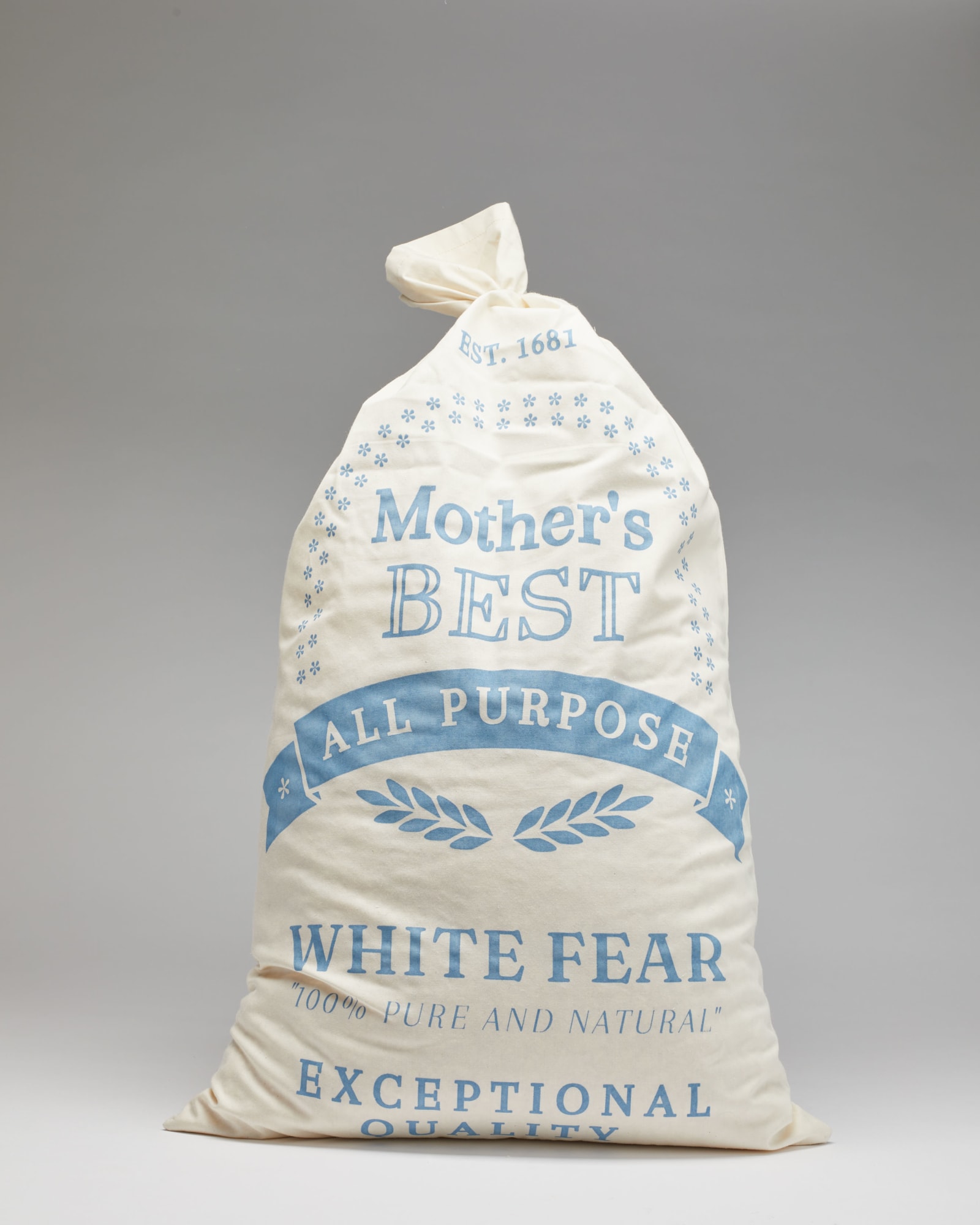 Jami Porter Lara, All Purpose White, 2022