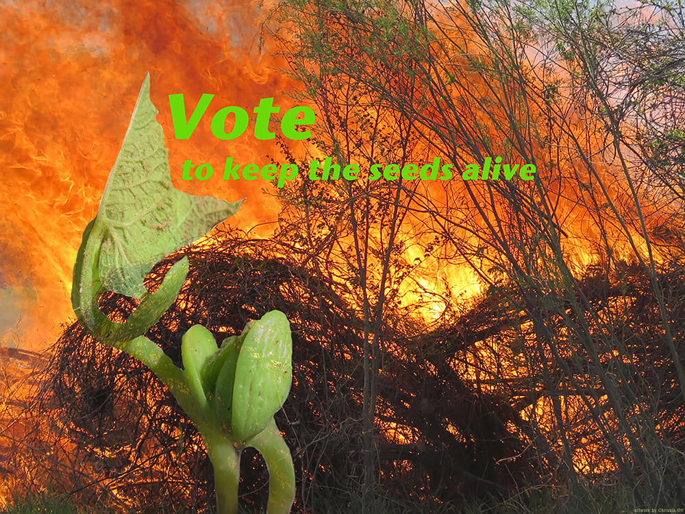 Chrissie Orr, , 2020