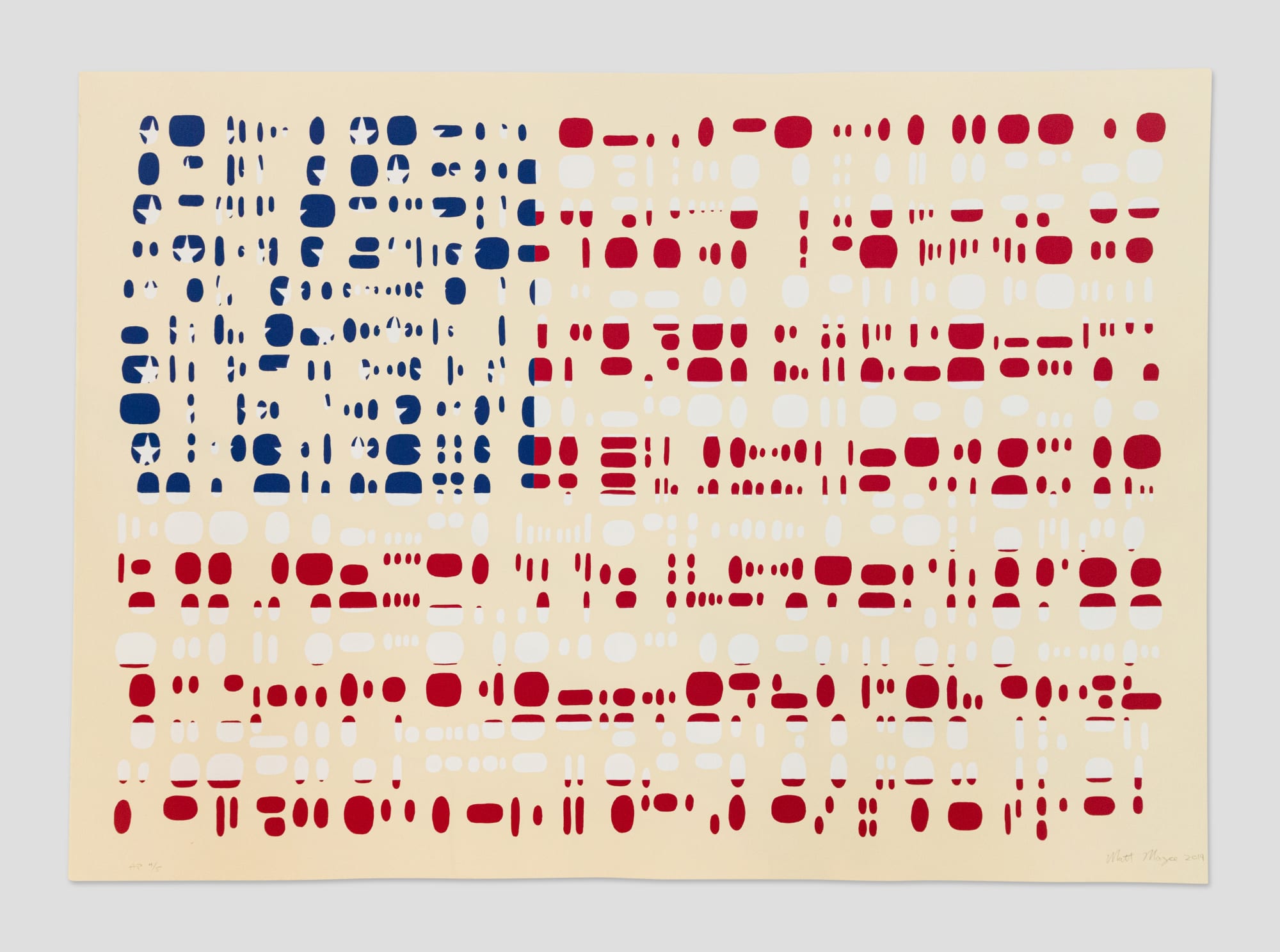 Matt Magee, Fragment Flag, 2019