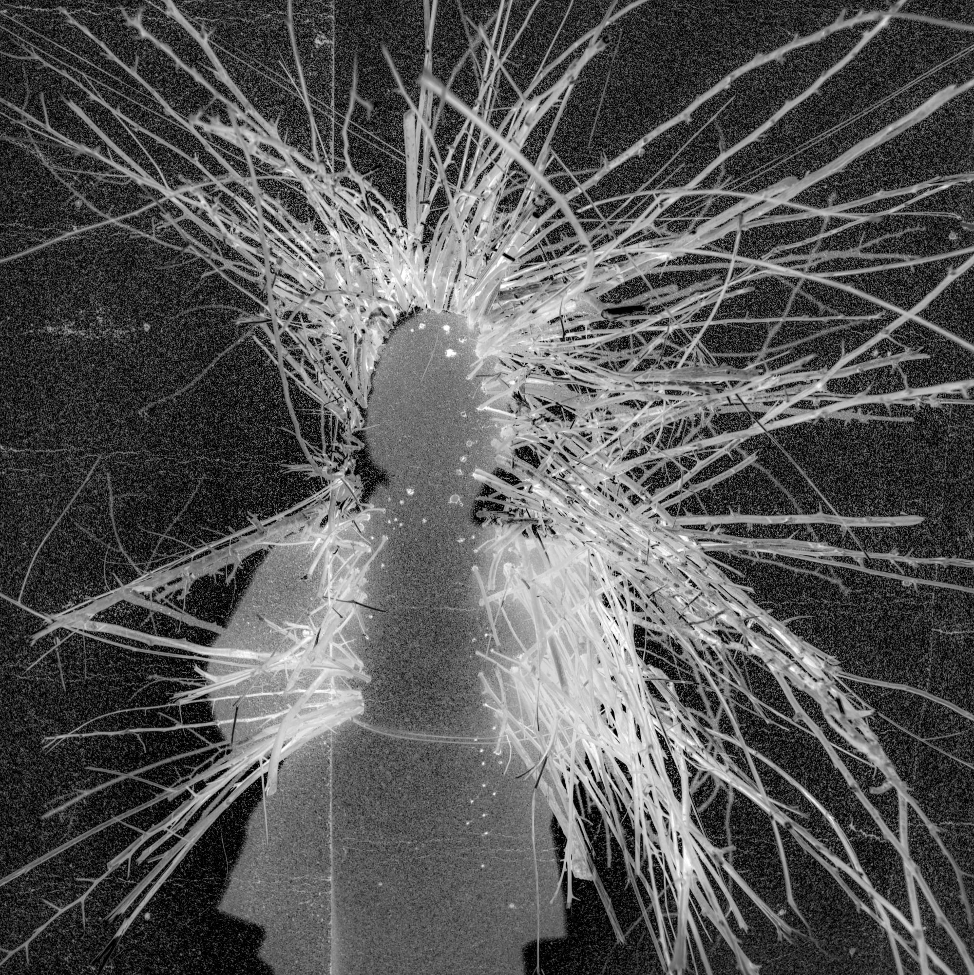 Andrés Mario de Varona, Poison, 2021