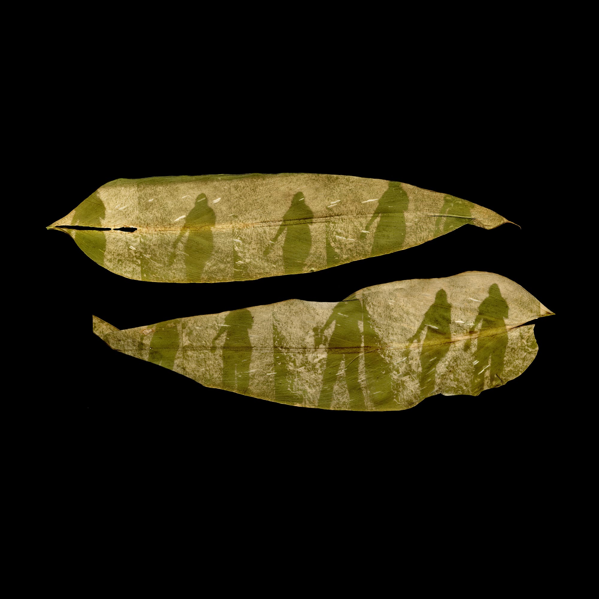 Megan Bent, Quarantine Day 450, 2021