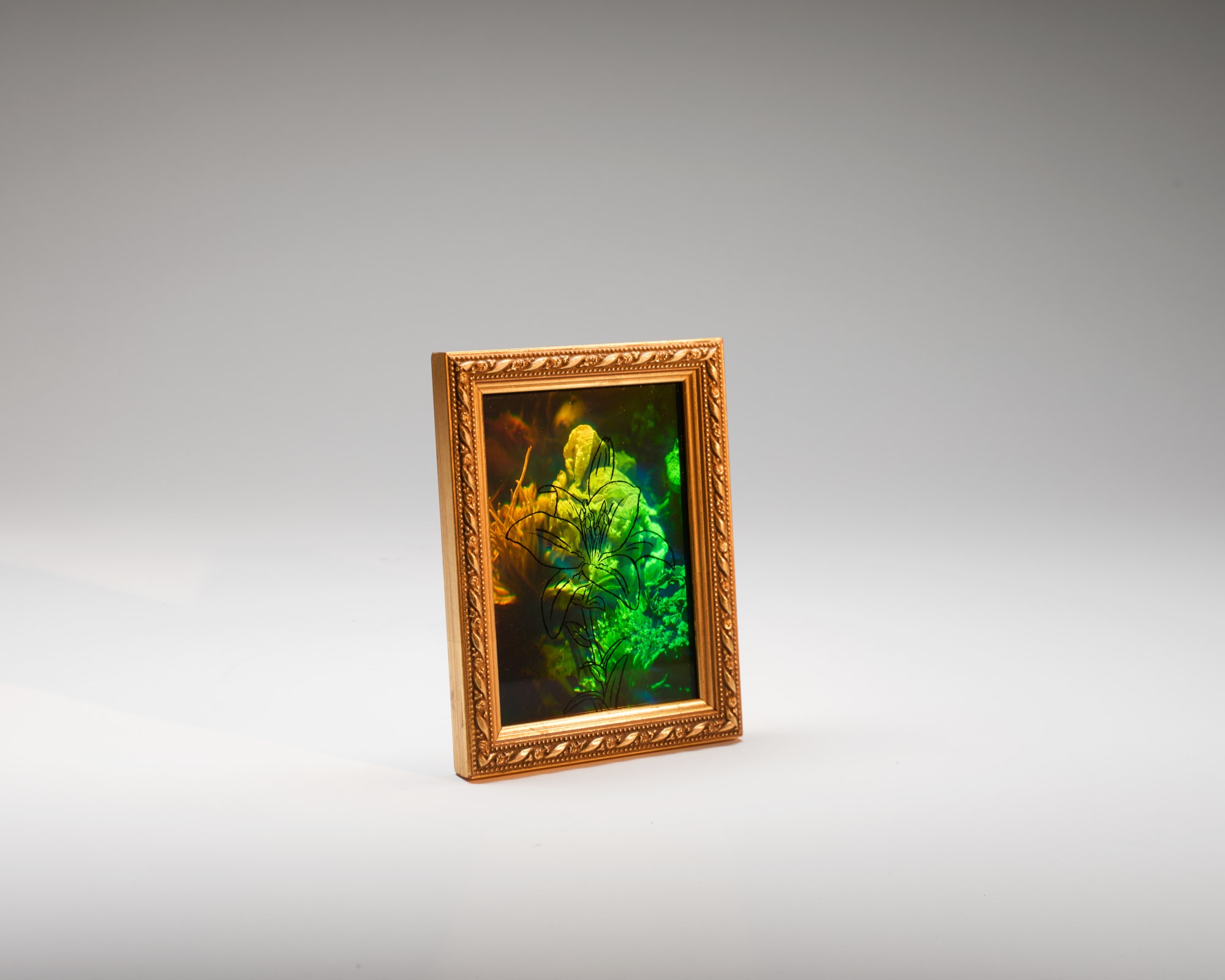 C Alex Clark, Florilegia: for Friends Lost, 2023