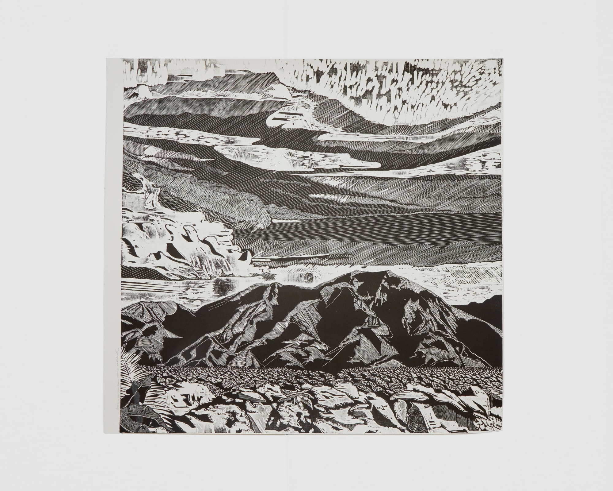 Enrique Figueredo, Viajes de la gran flota blanca, frame 1c, 2019