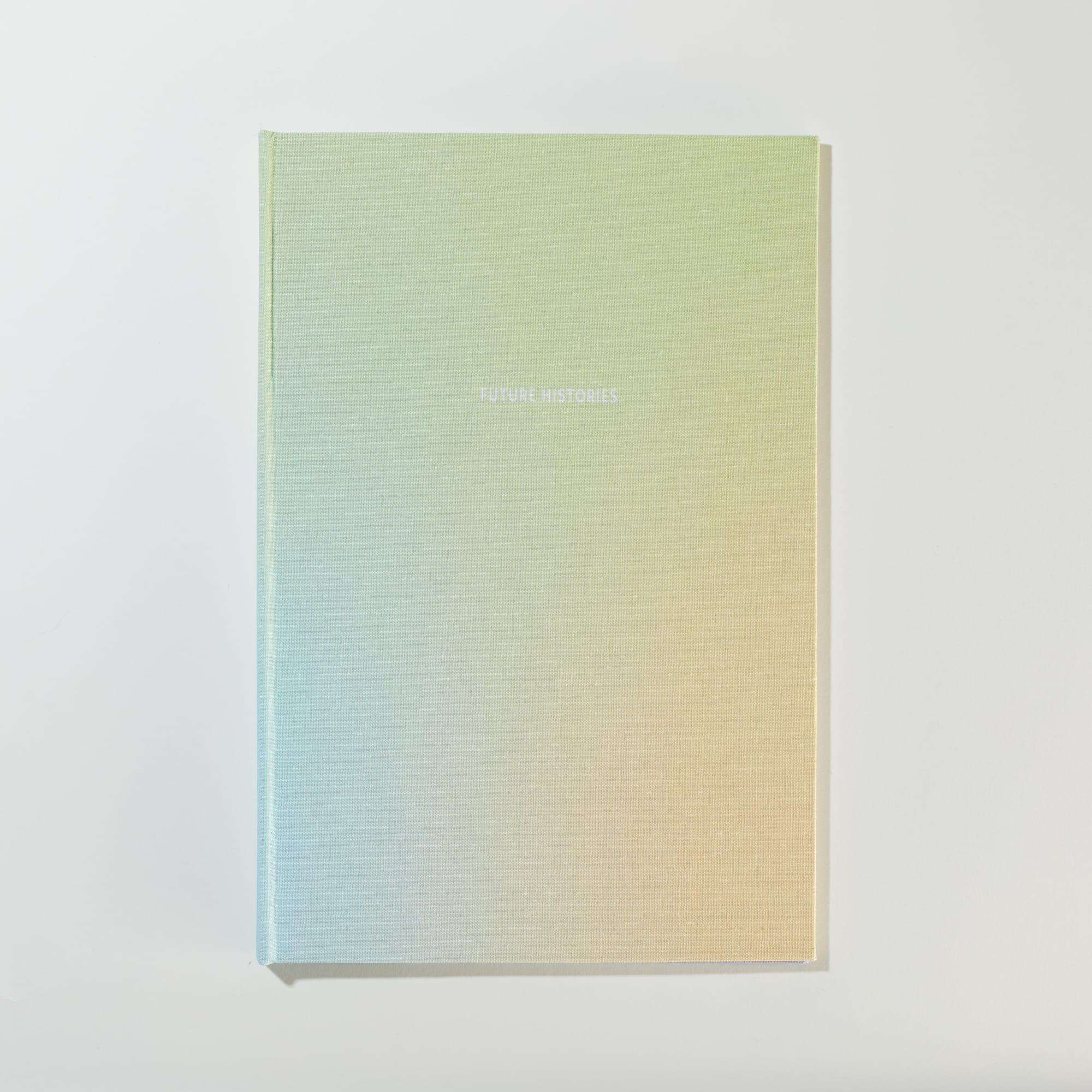 Erin Mickelson, Future Histories, 2021