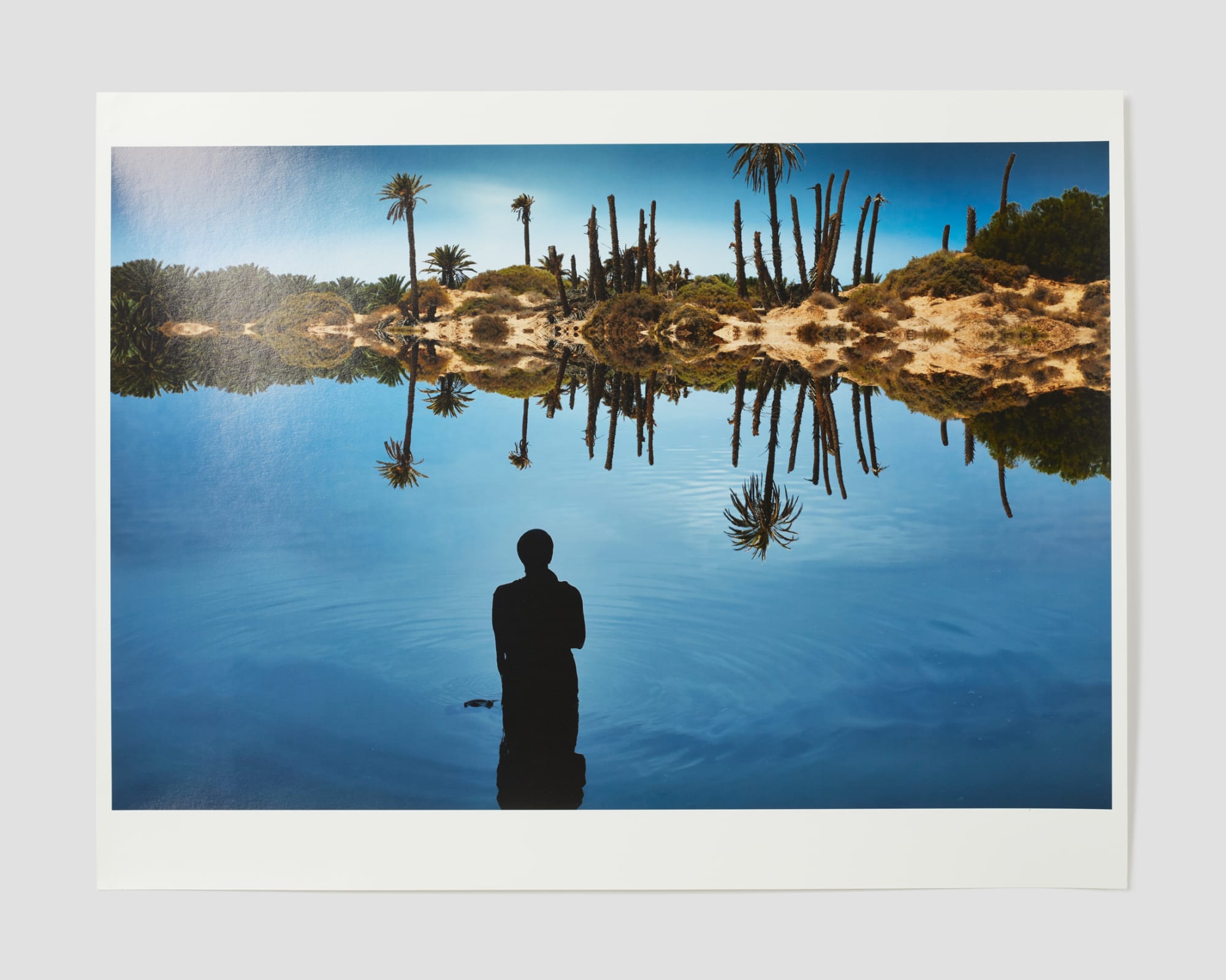 Sama Alshaibi, Fātnis al-Jazīrah (Fantasy Island), 2014