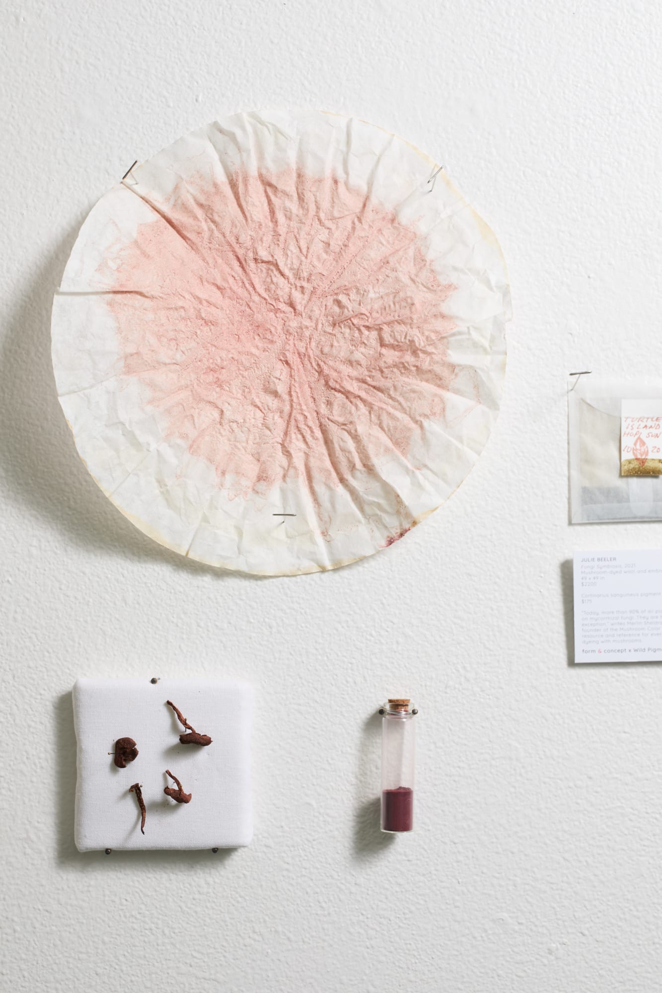 Julie Beeler, Cortinarius sanguineus pigment, 2022