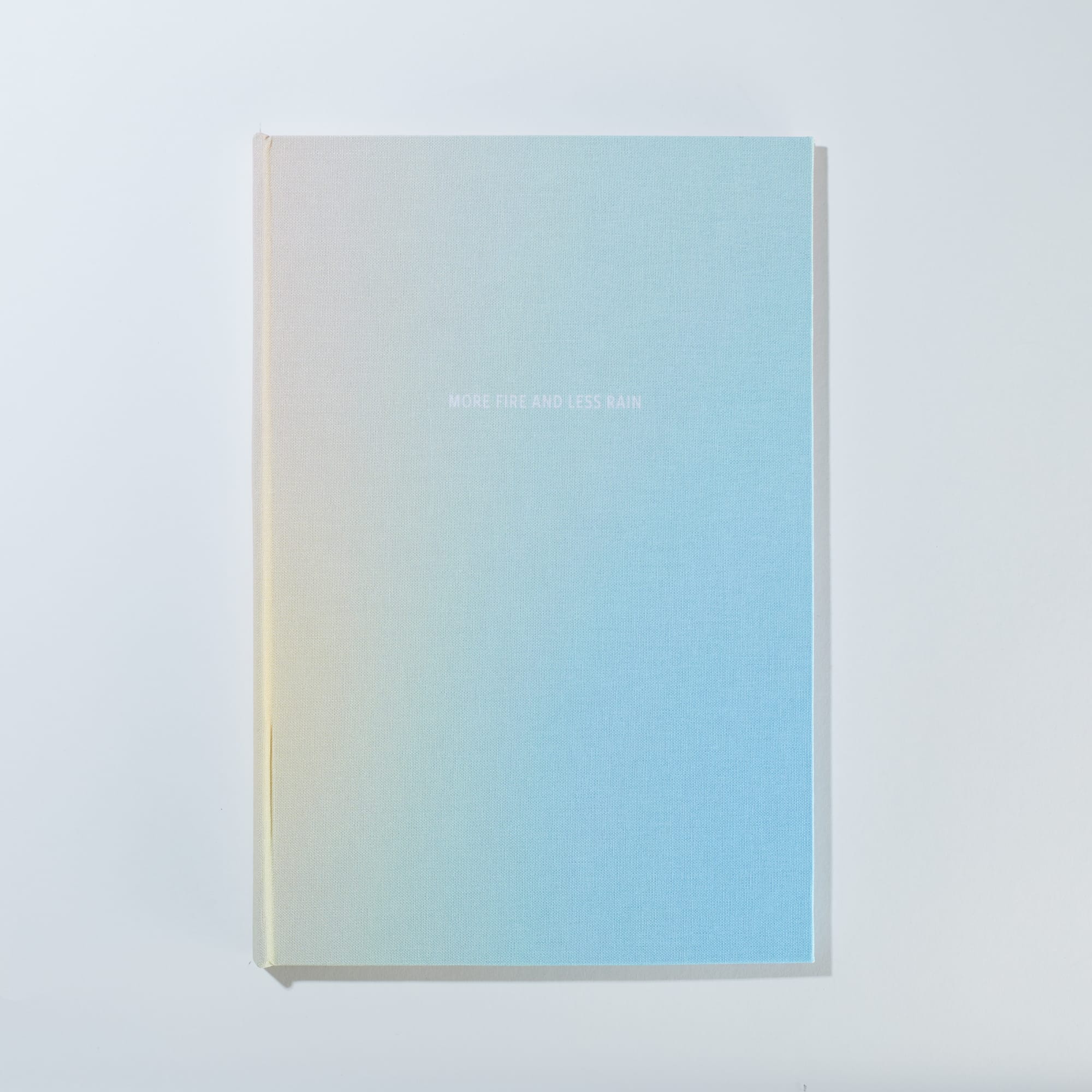 Erin Mickelson, More Fire And Less Rain, 2021