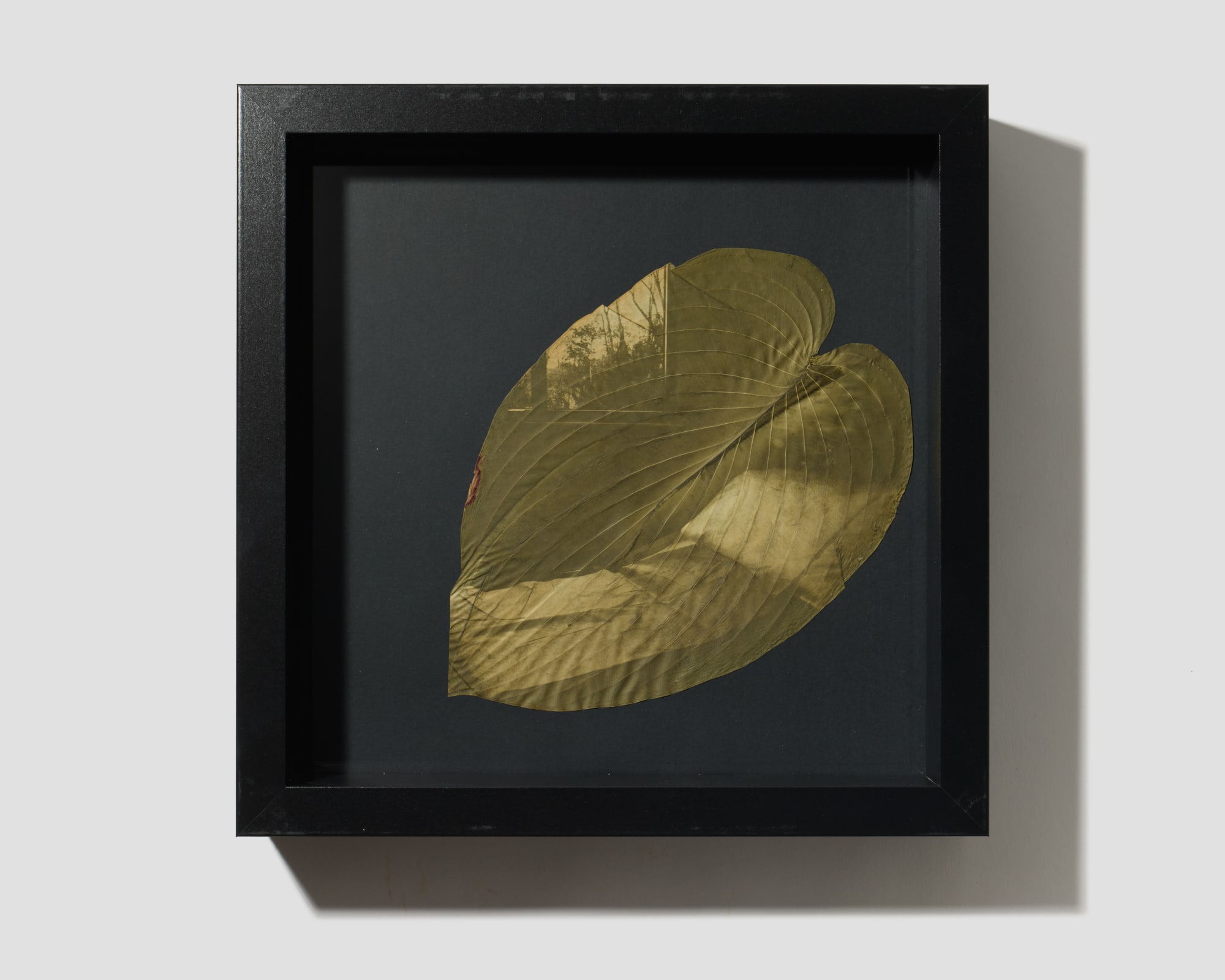 Megan Bent, Untitled (180,000 Lost and Counting) August 26, 2020, 2020