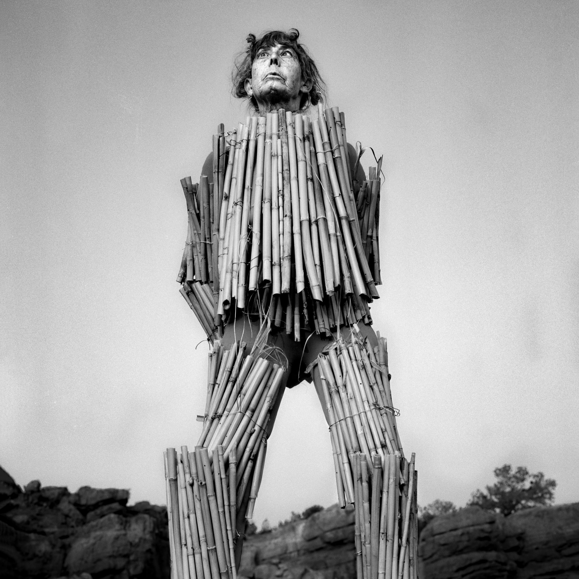 Andrés Mario de Varona, Shelling, 2020