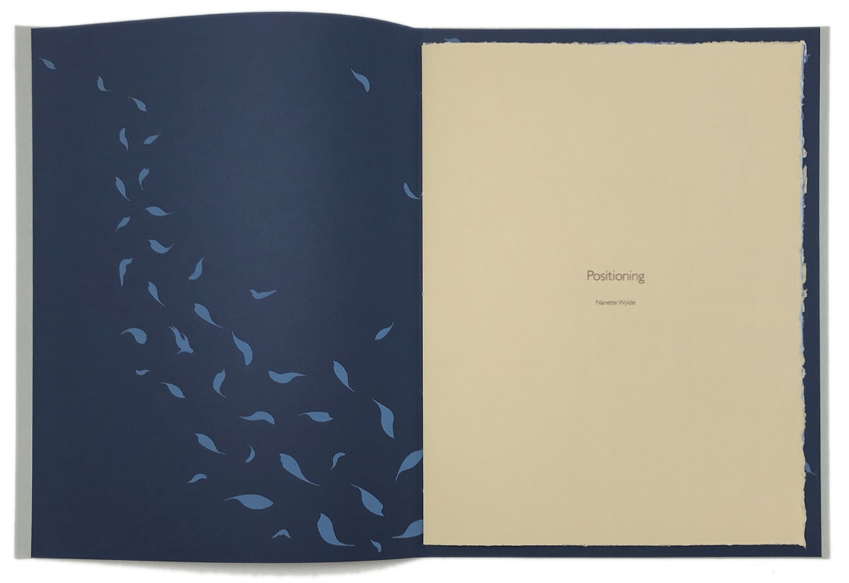 Nanette Wylde, Positioning, 2019