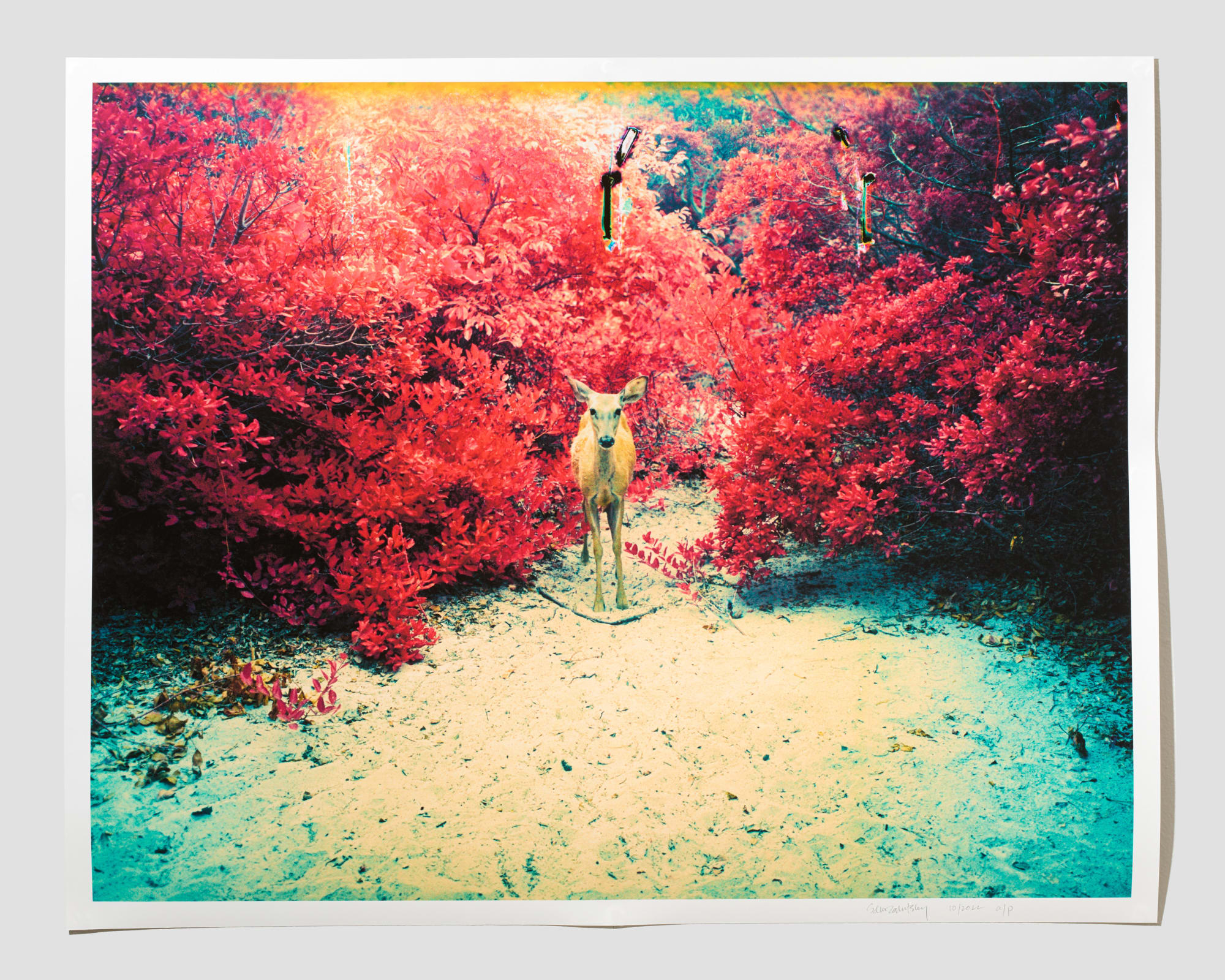 Sam Zalutsky, Meat Rack 21 (Doe), 2020