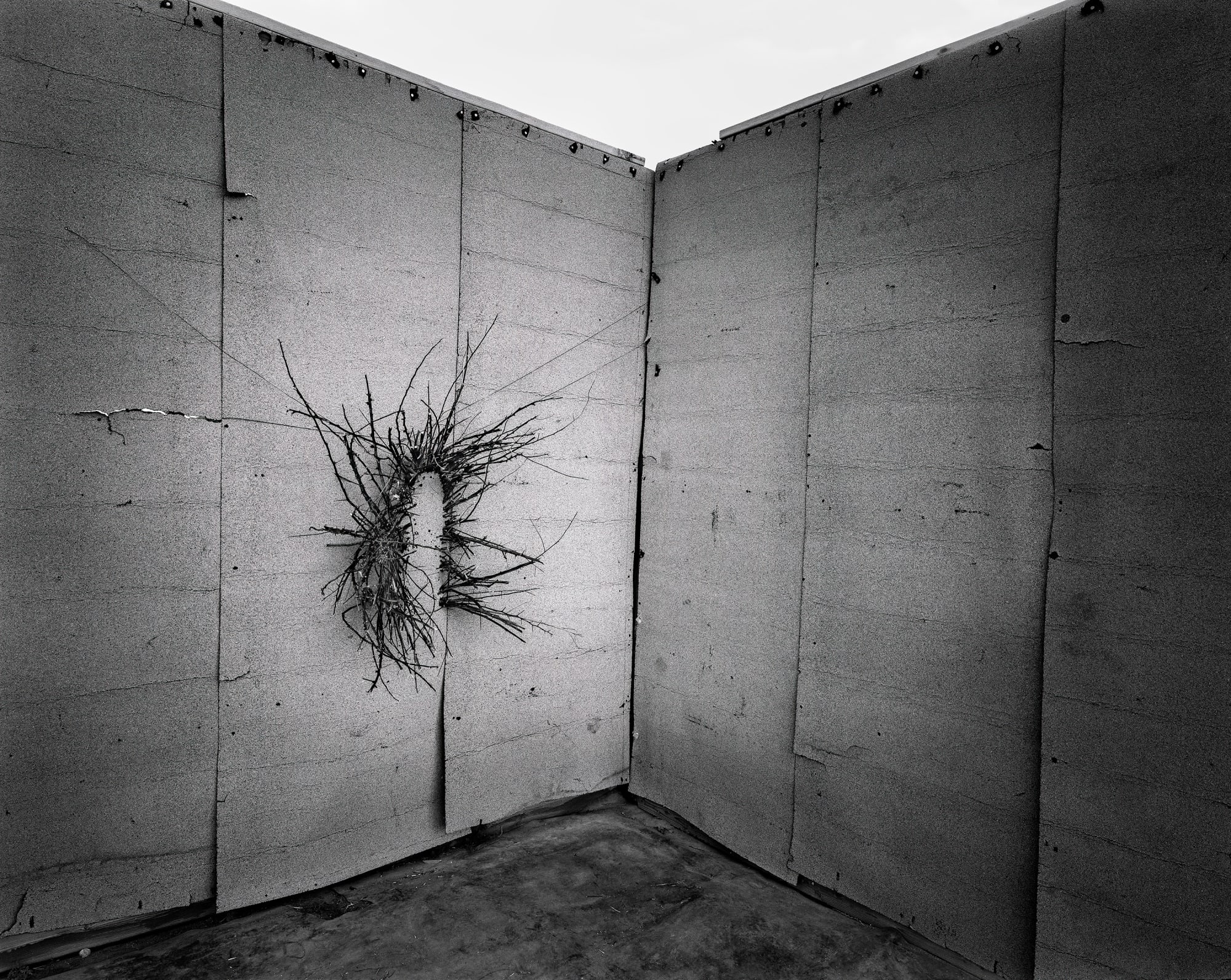 Andrés Mario de Varona, The Gray Room, 2021