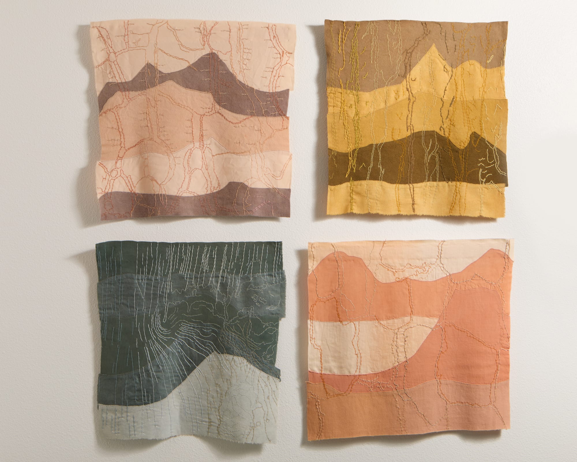 Julie Beeler, Fungi Symbiosis, 2021