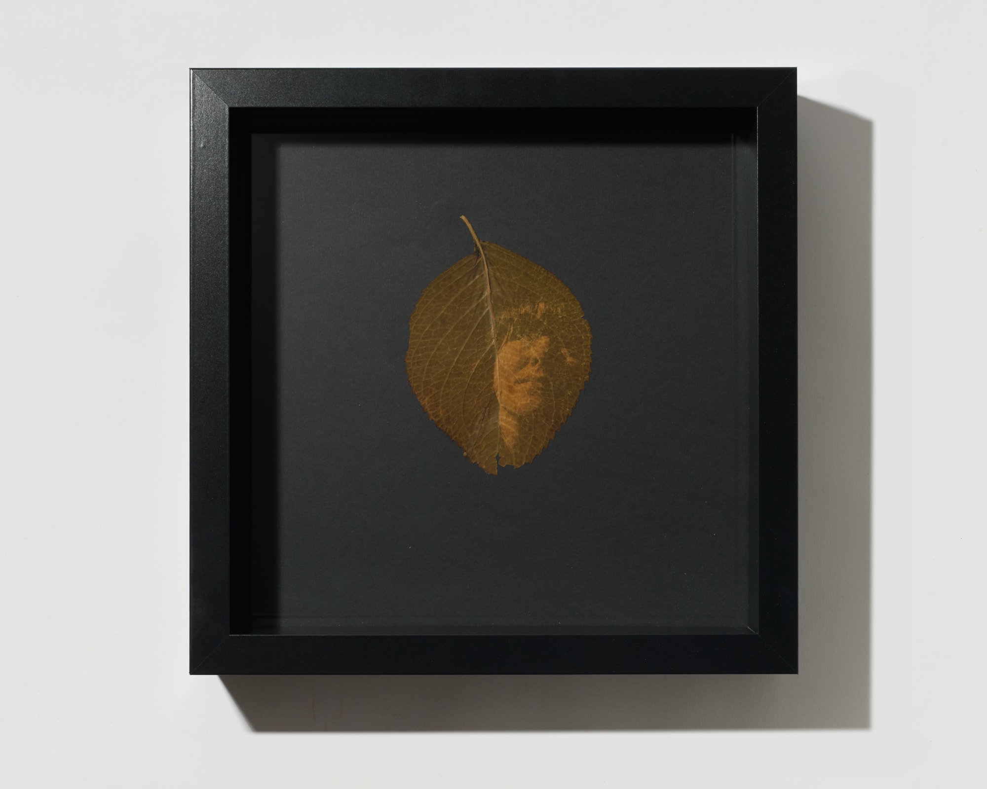 Megan Bent, Quarantine Day 7, 2020