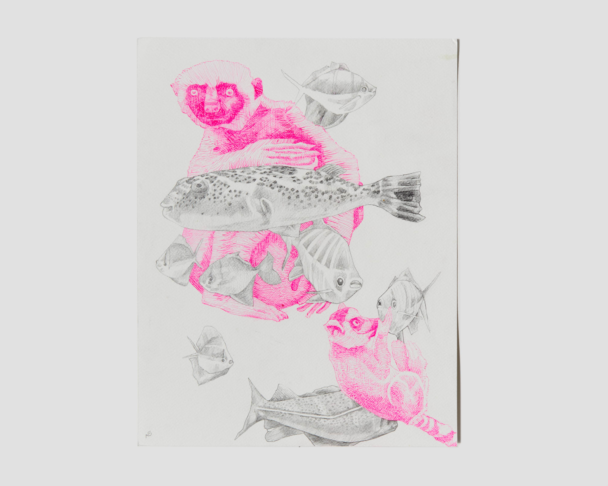 Nathan Budoff, Aquarium, 2024