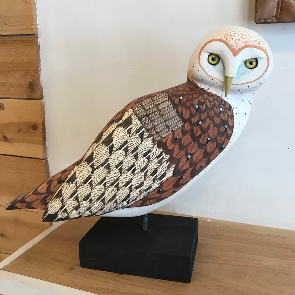 Paul Lutonsky, Barn owl