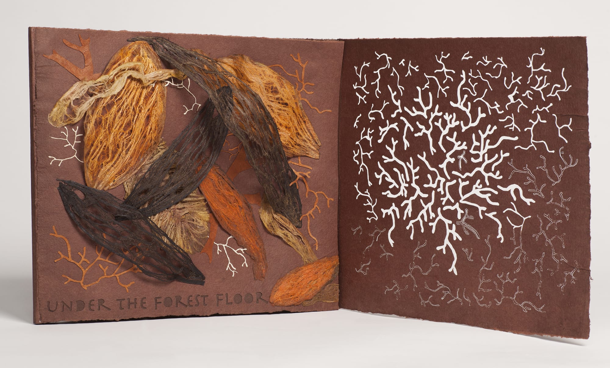 Jill Powers, Under the Forest Floor, 2021