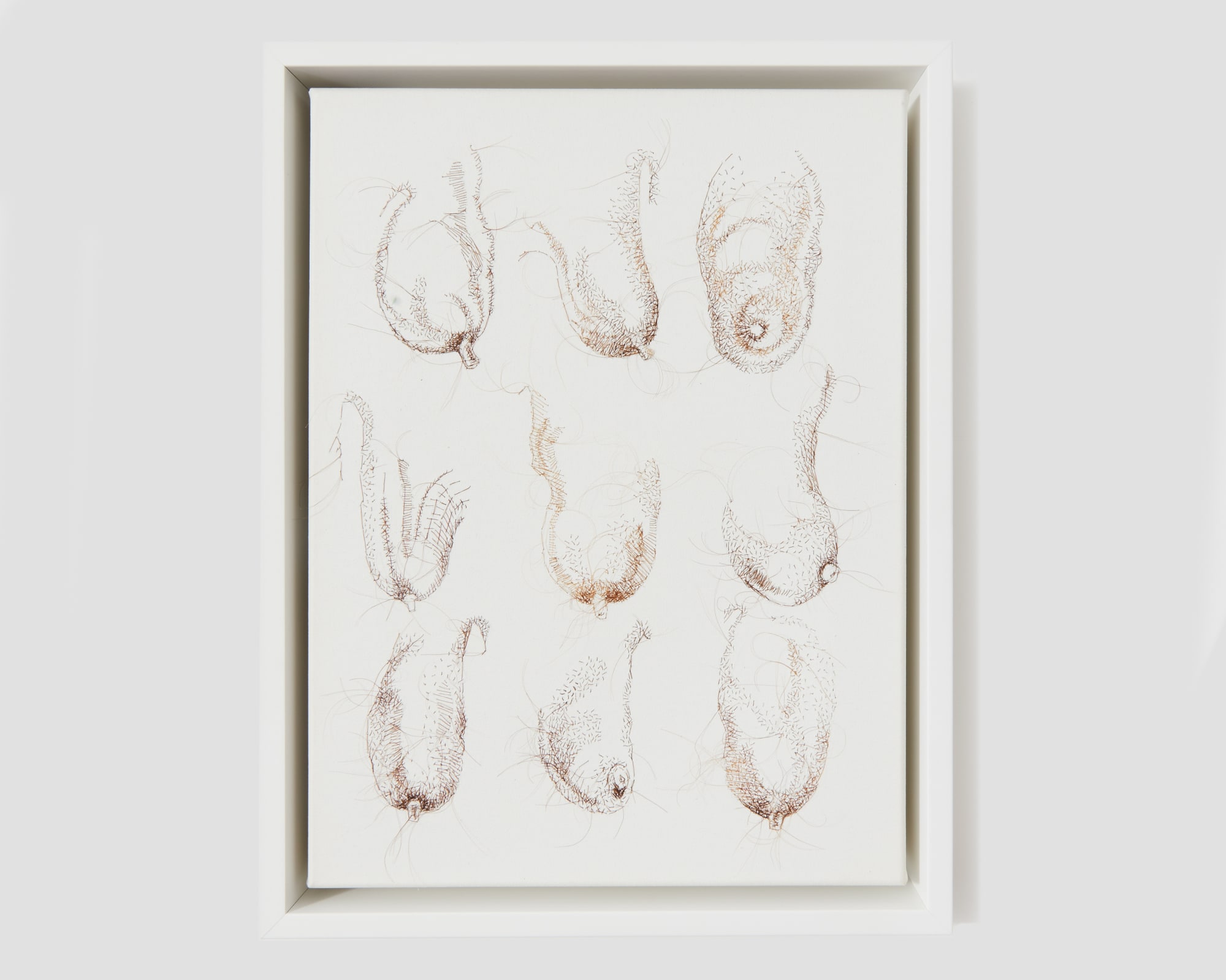 Rosemary Meza-DesPlas, Personages, 2011