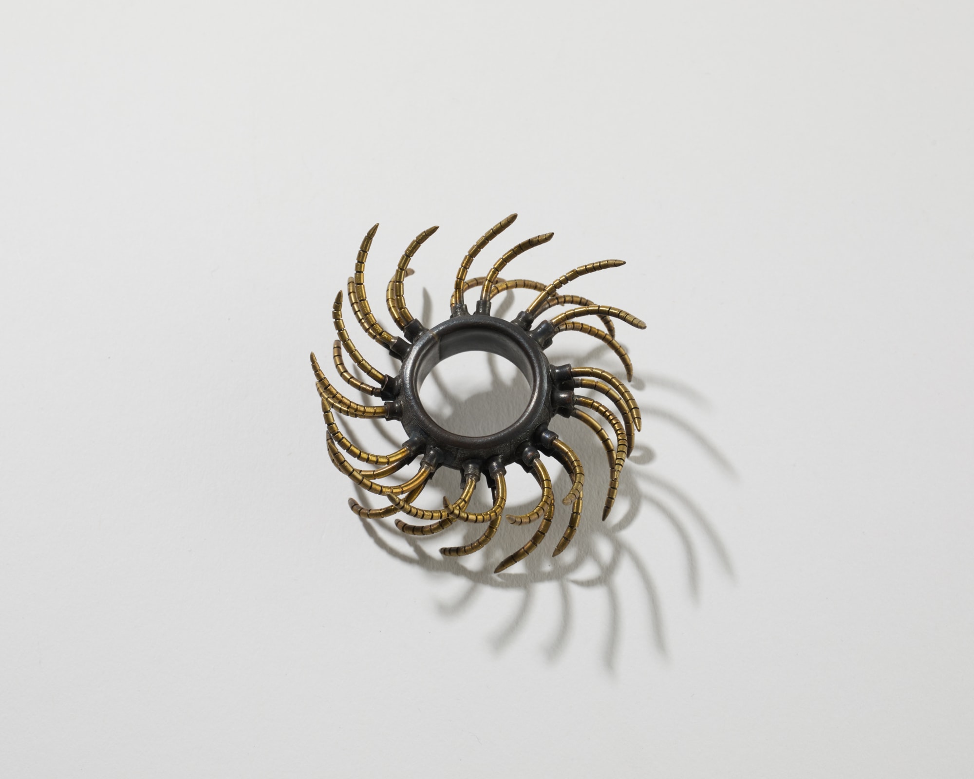 Charity Hall, Metallodesmus trigintaduopes, 2011