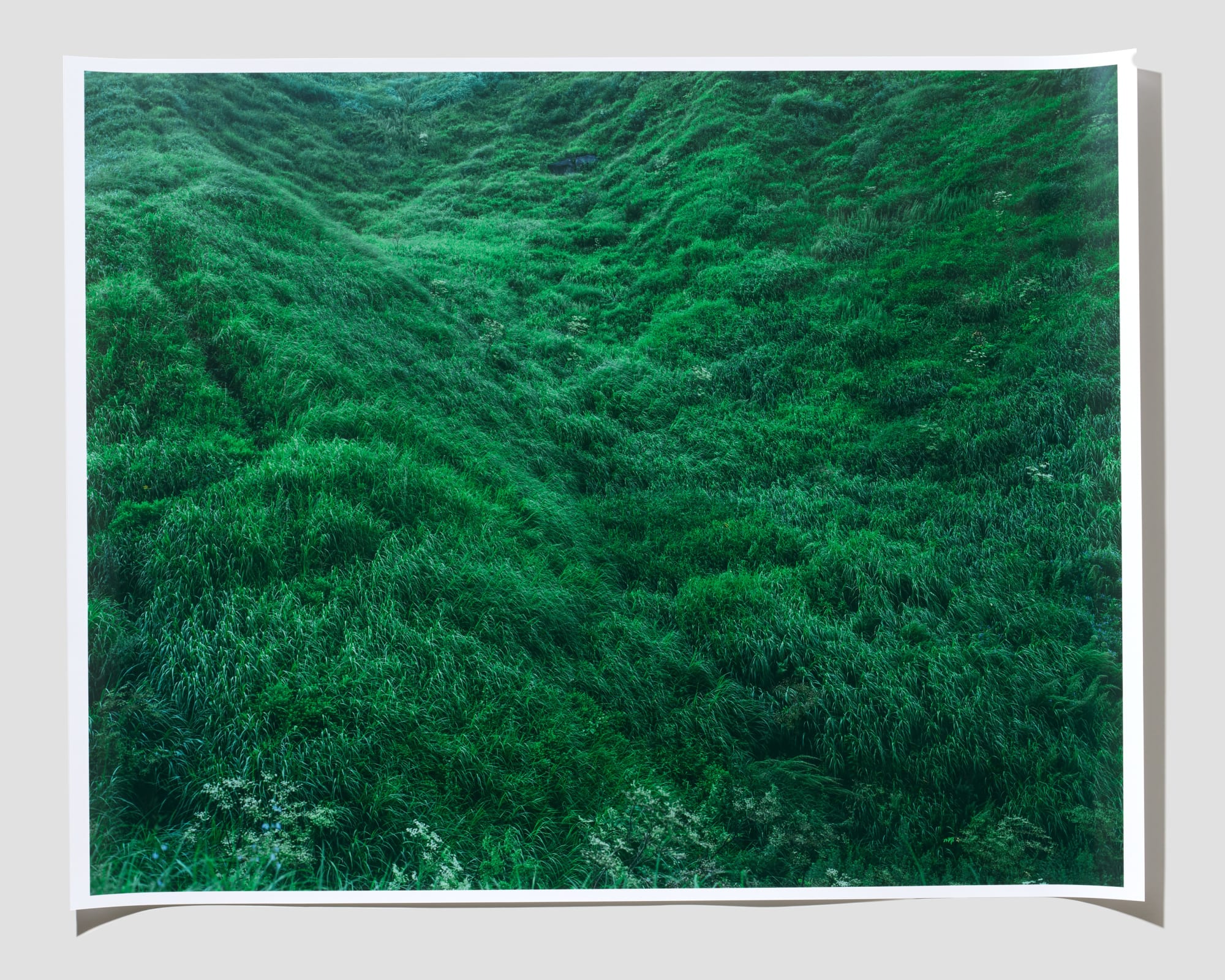 Rinko Kawauchi, Untitled, from the series Ametsuchi, 2013