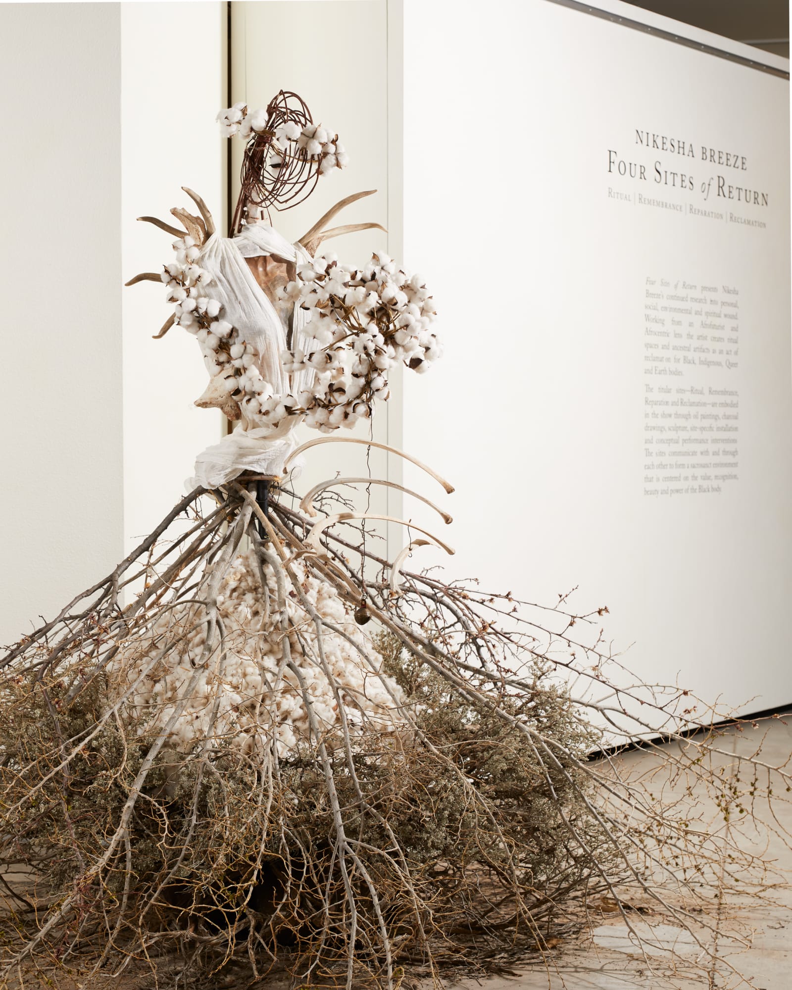 Nikesha Breeze, So Many Bones: A Land Effigy, 2021