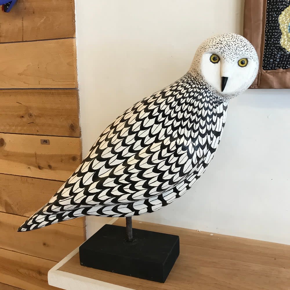 Paul Lutonsky, Snowy owl