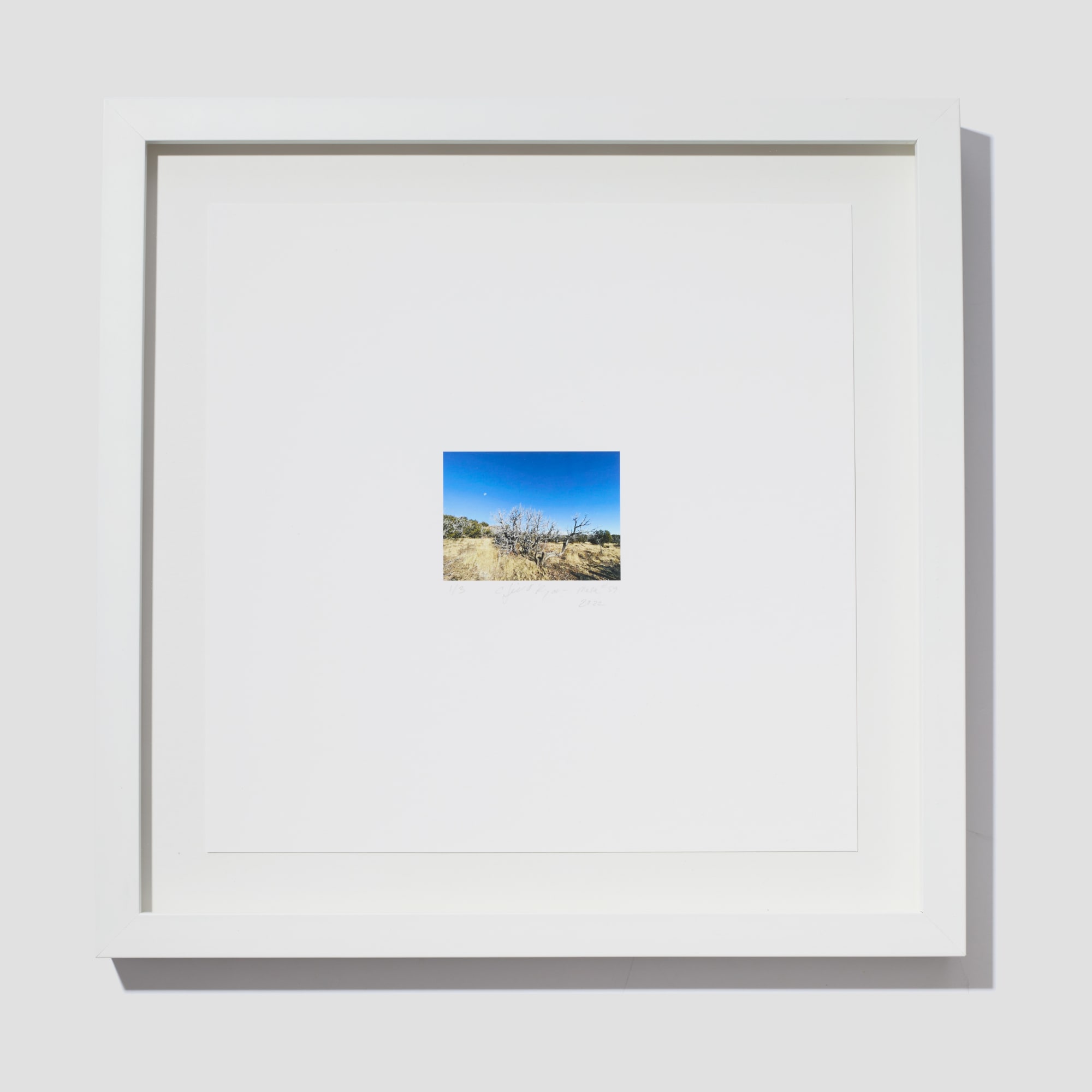 Jill O'Bryan, Mesa #59, 2022