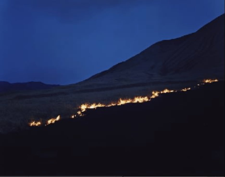 Rinko Kawauchi, Untitled, from the series Ametsuchi, 2013