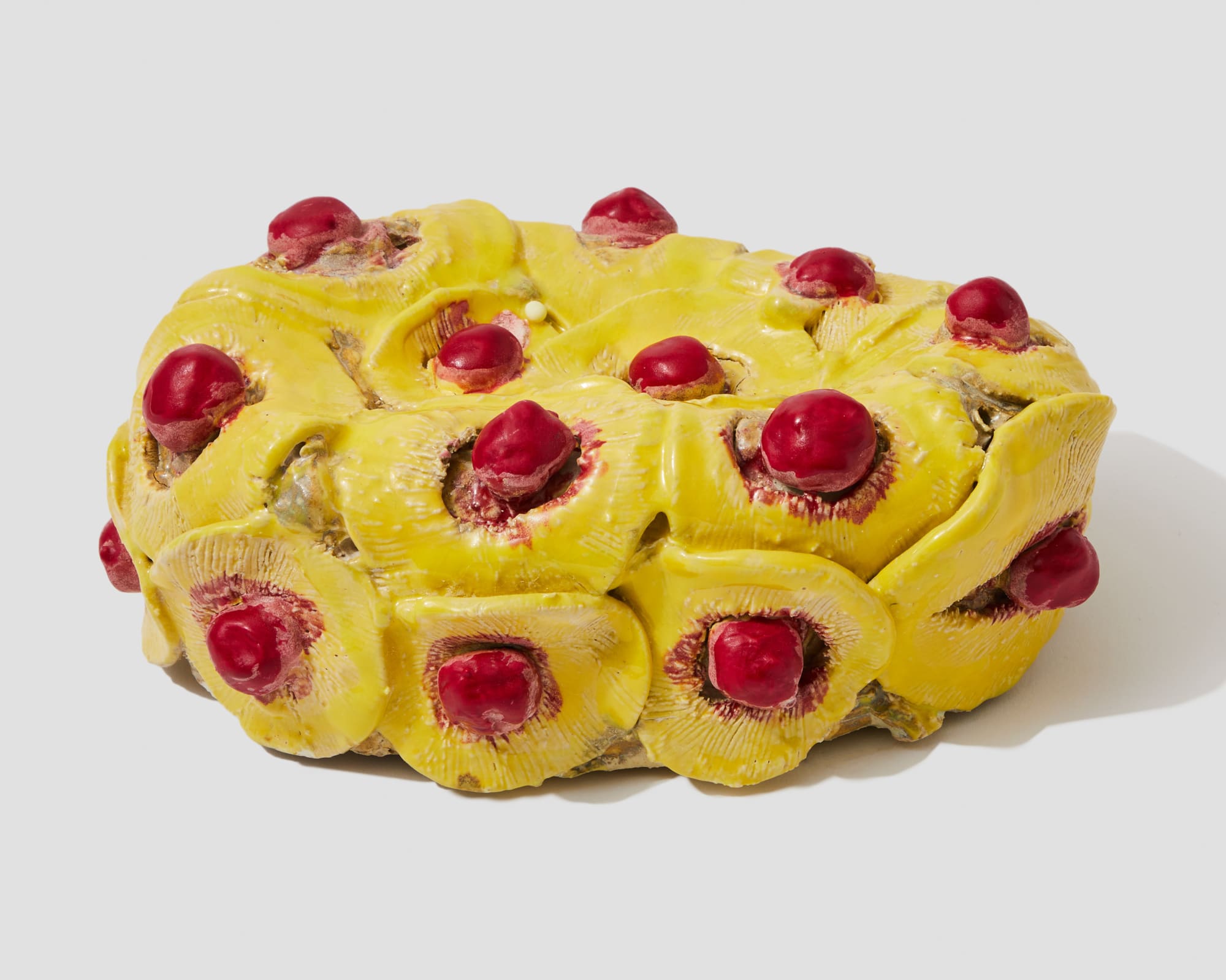 Jenny Day, Cake (Pineapple), 2023