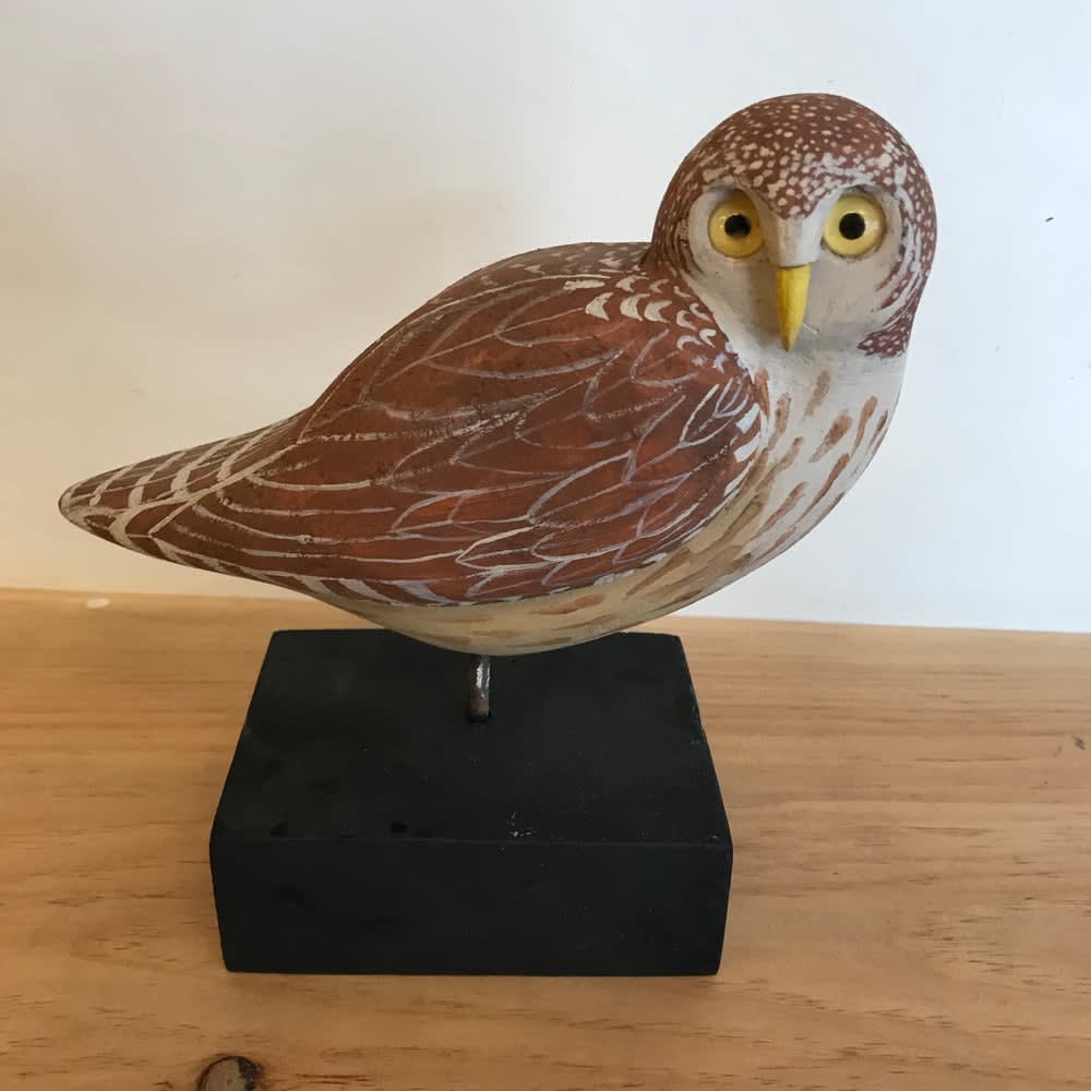 Paul Lutonsky, Pygmy owl