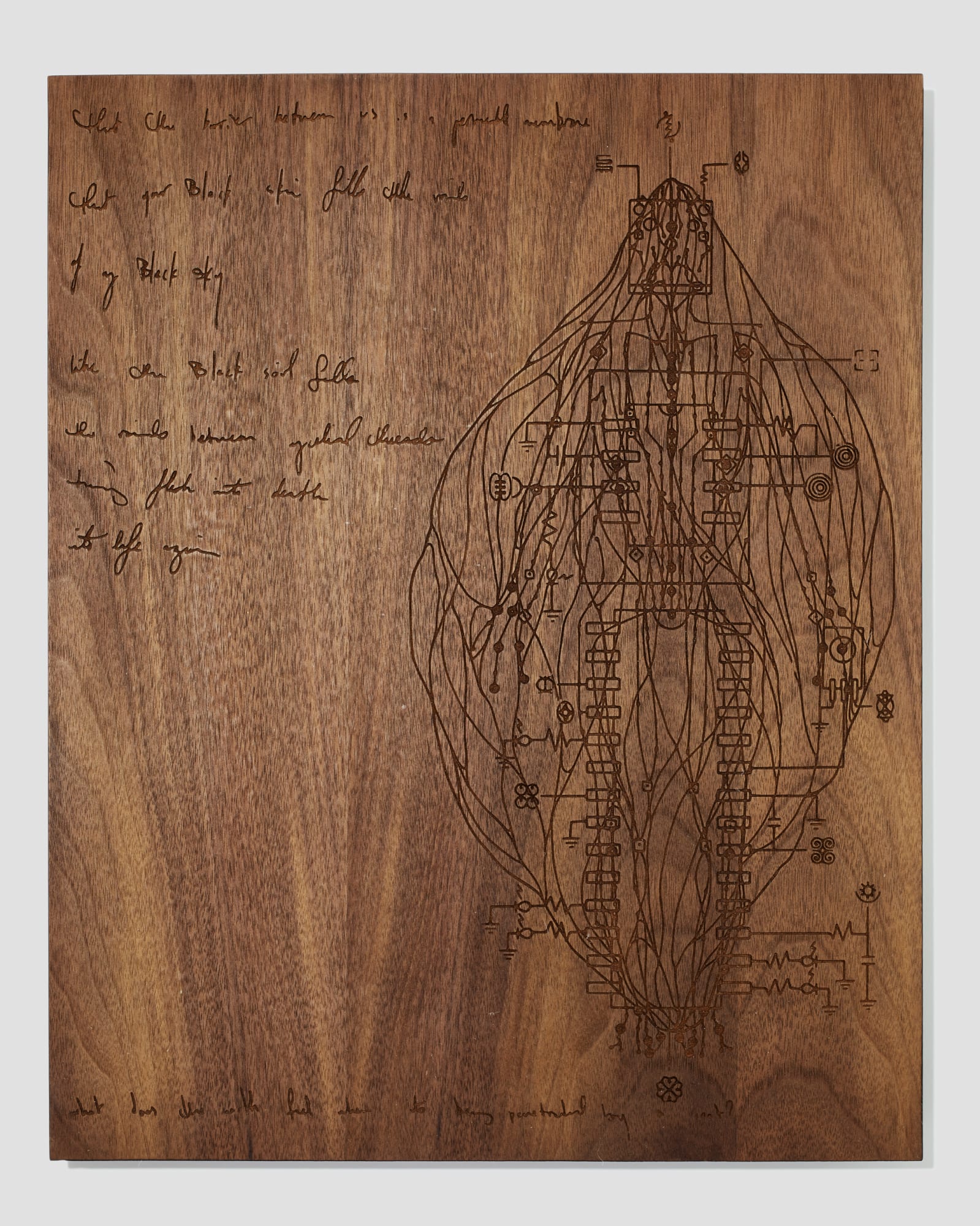 Tigre Mashaal-Lively, T.ransdimensional I.nterplay M.odel: E.xtrapolated (Fig. C), 2021