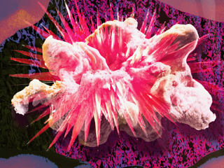 Anne Farrell, VIRUS04, 2020