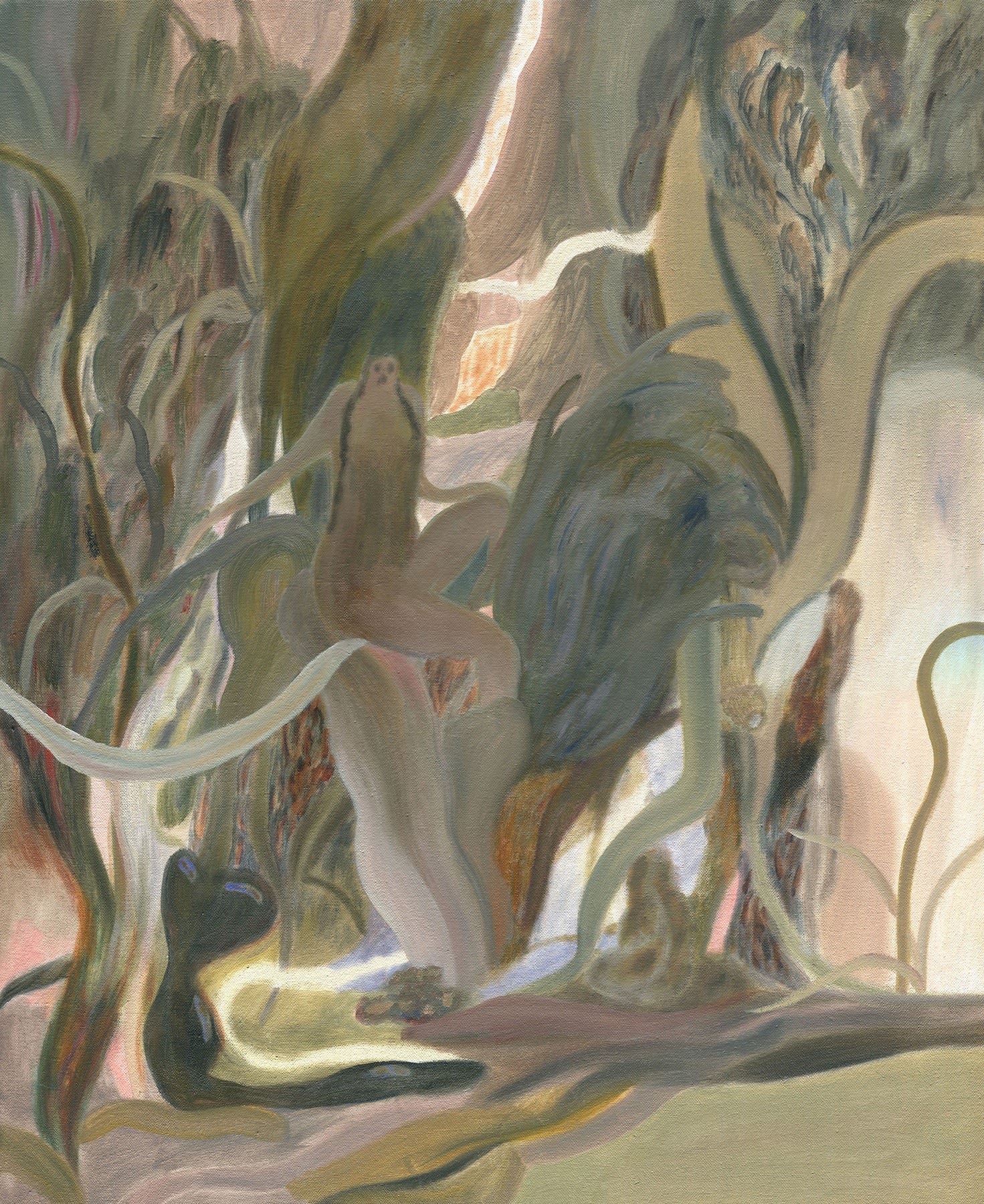 Sofia Arnold, I Forgot My Own Birthday