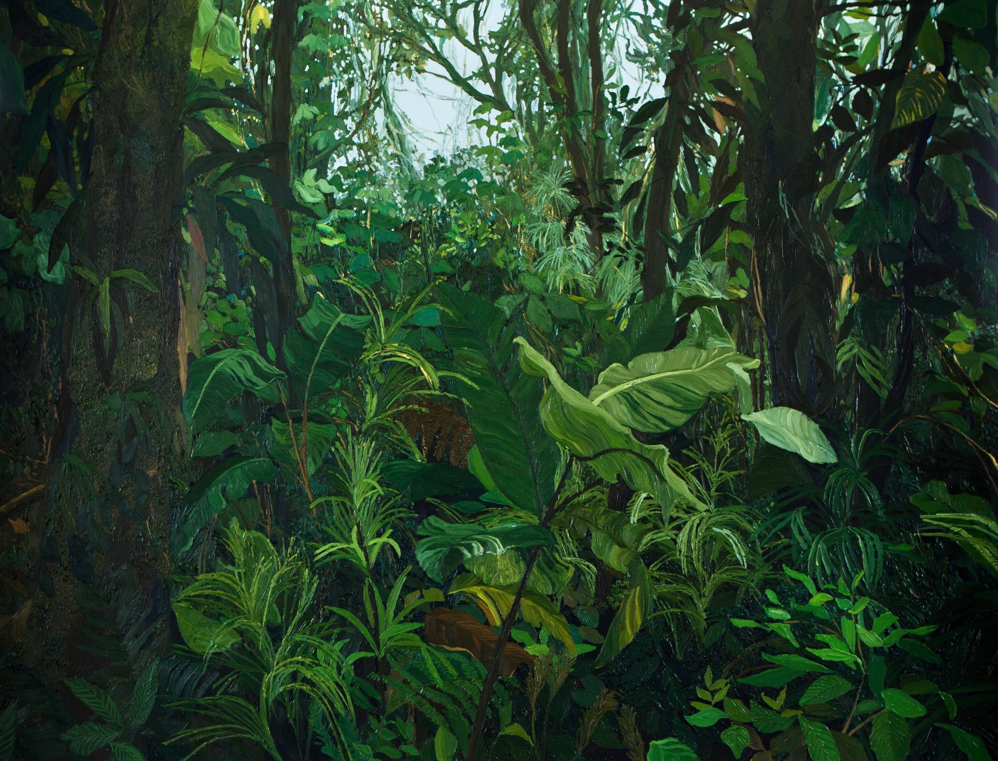 Jelly Green, Cloud Forest VI Zuleika Gallery