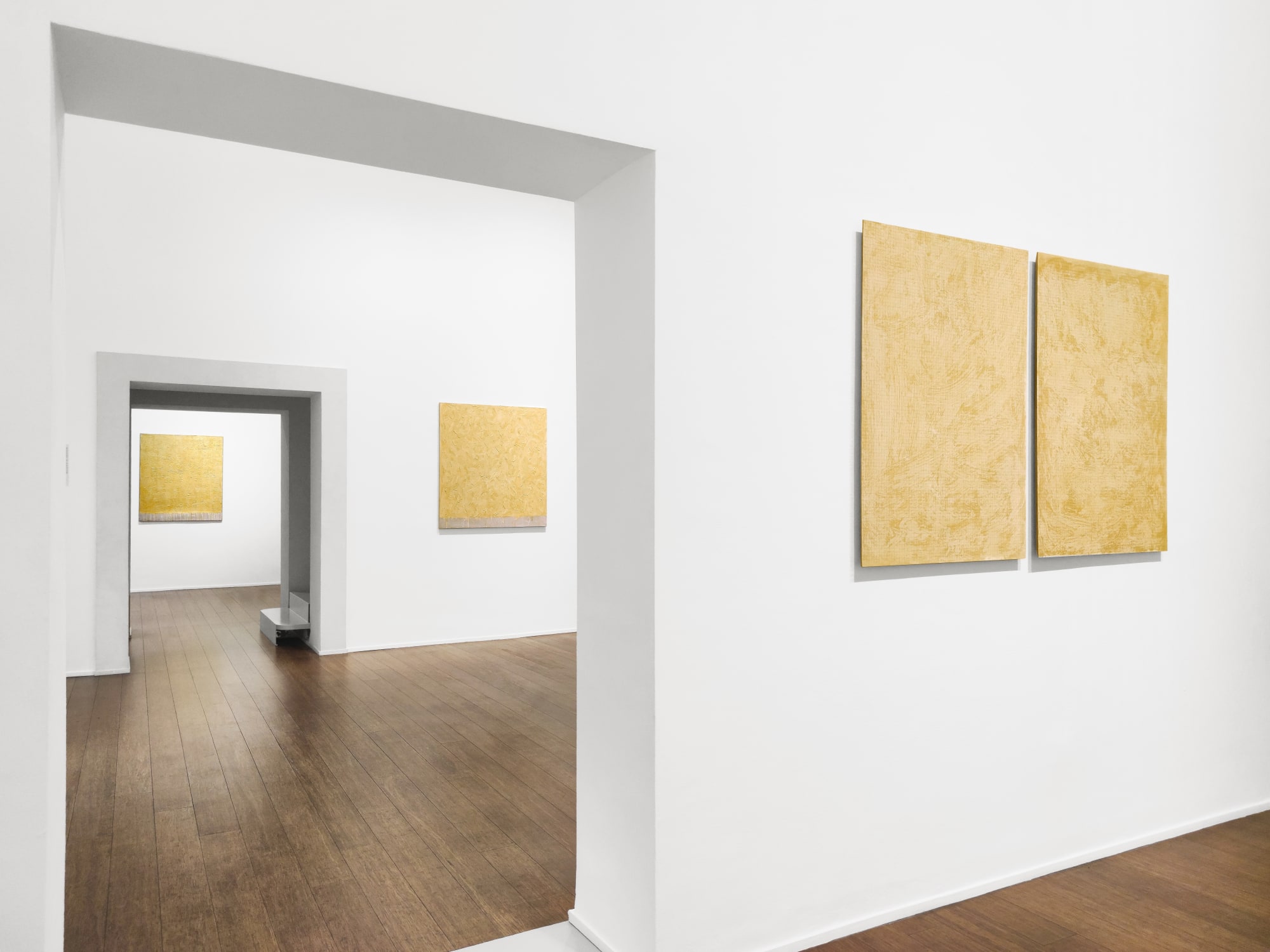 Tomas Rajlich. Golden Times