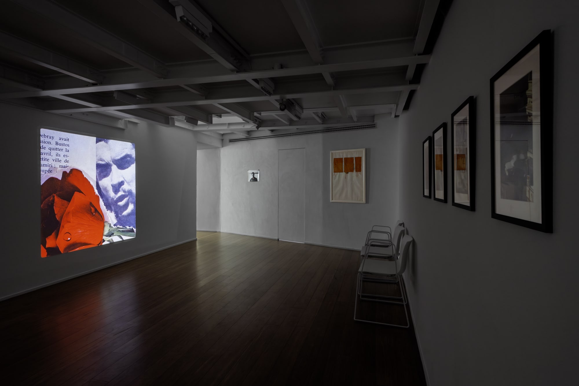 Mario Schifano. Correre rapinoso attraverso le cose del mondo