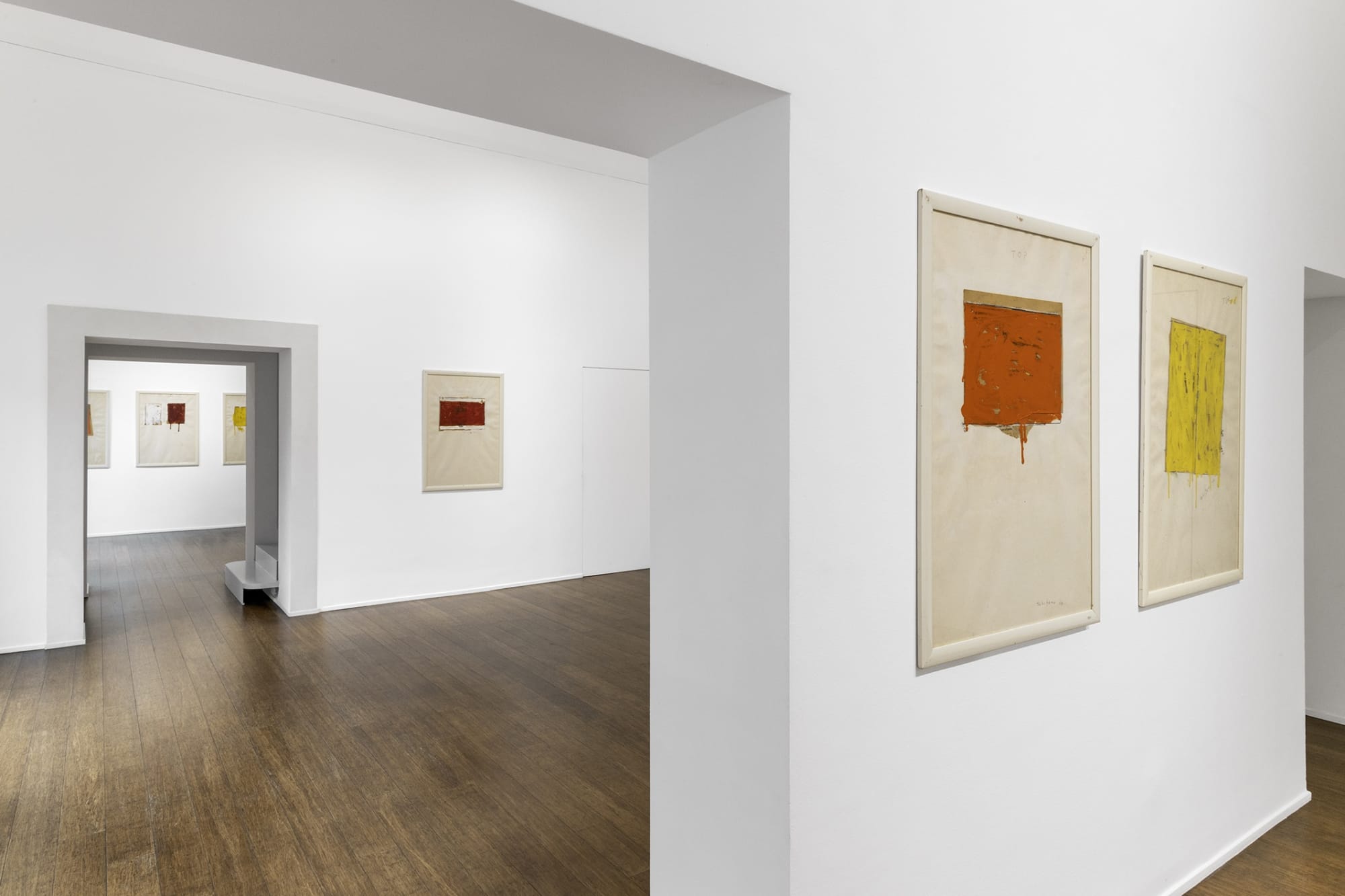 Mario Schifano. Correre rapinoso attraverso le cose del mondo