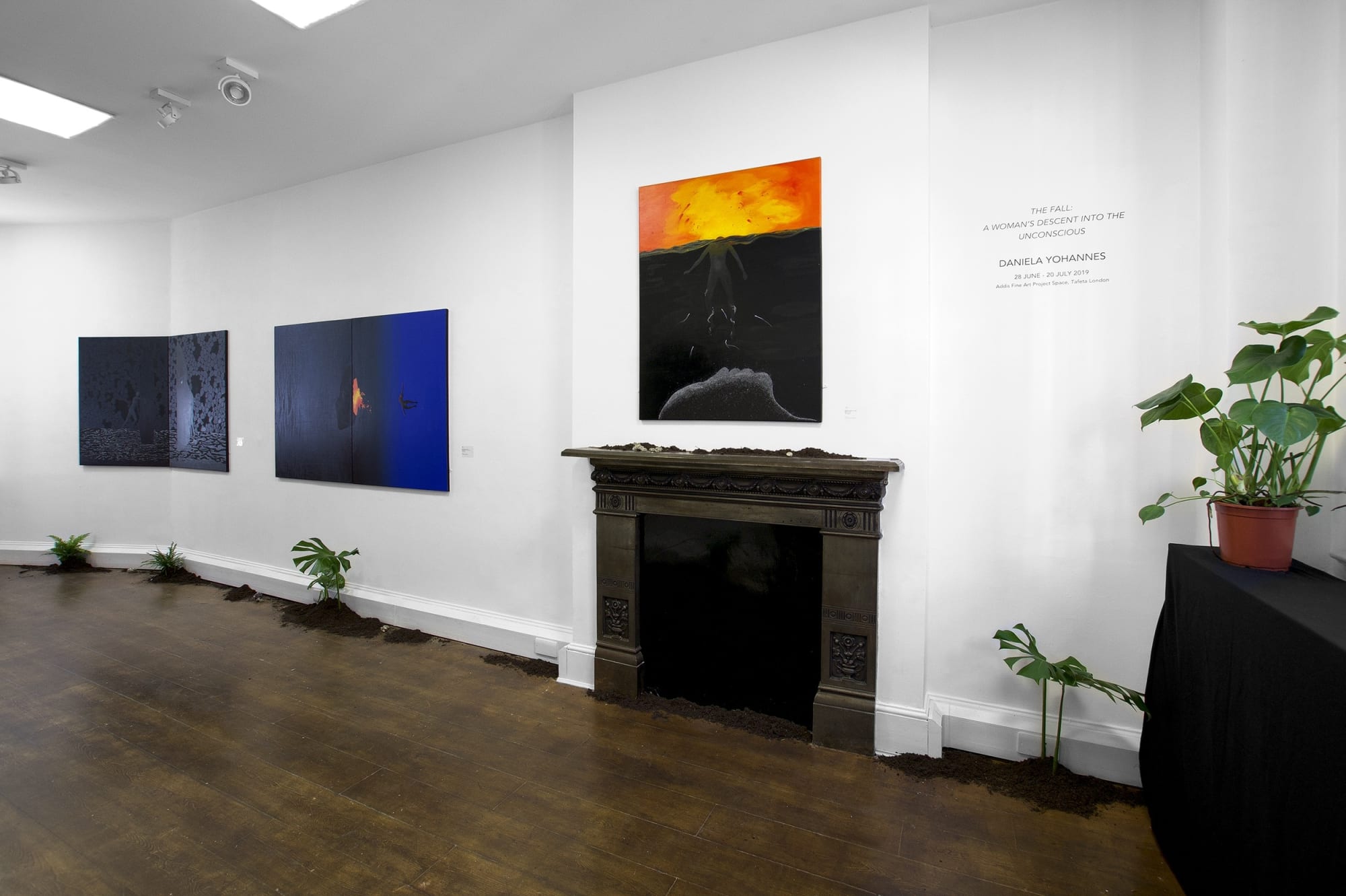 The Fall: A Woman’s Descent into the Unconscious