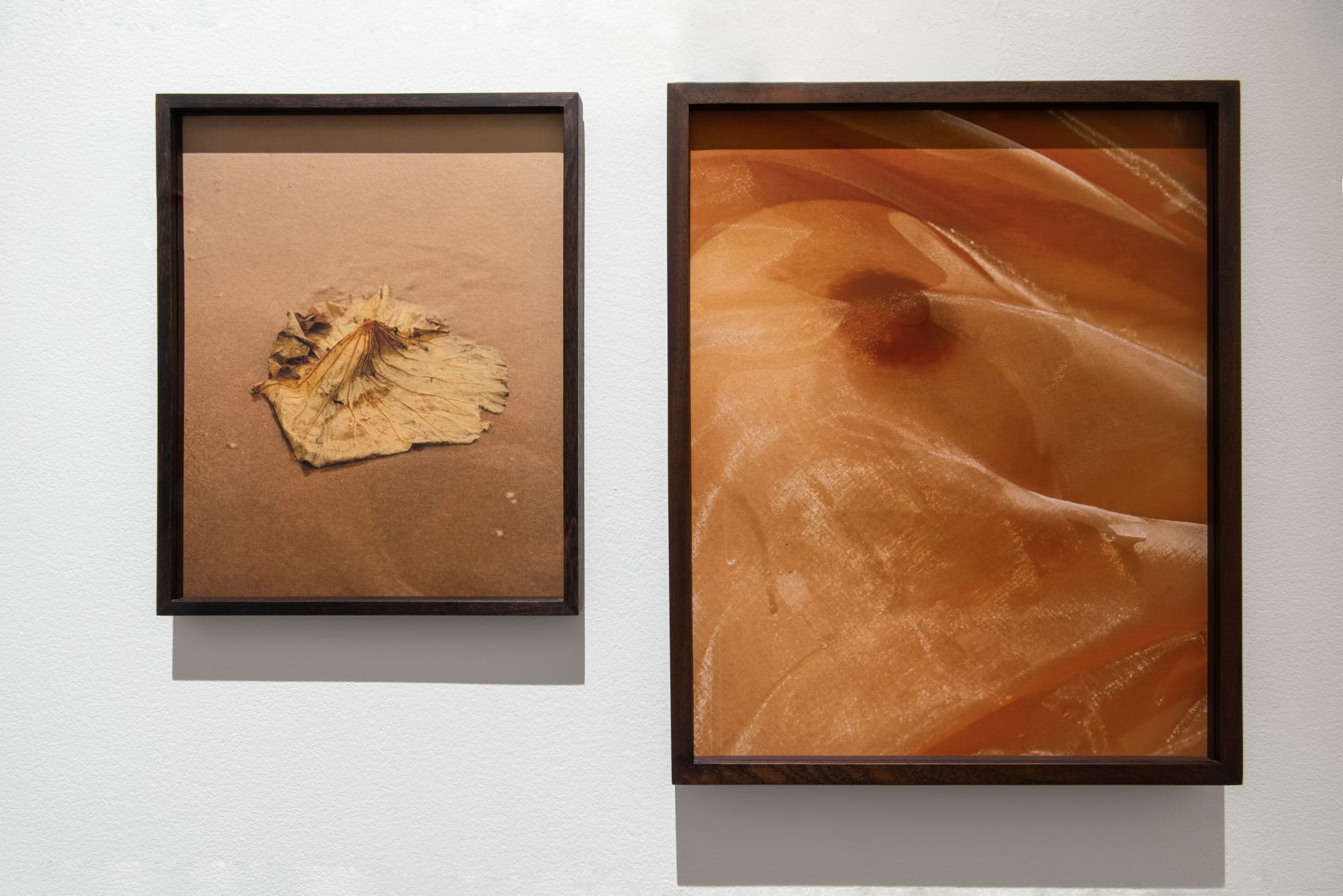 Installation view @ Photo London 2021 Photo by Troika